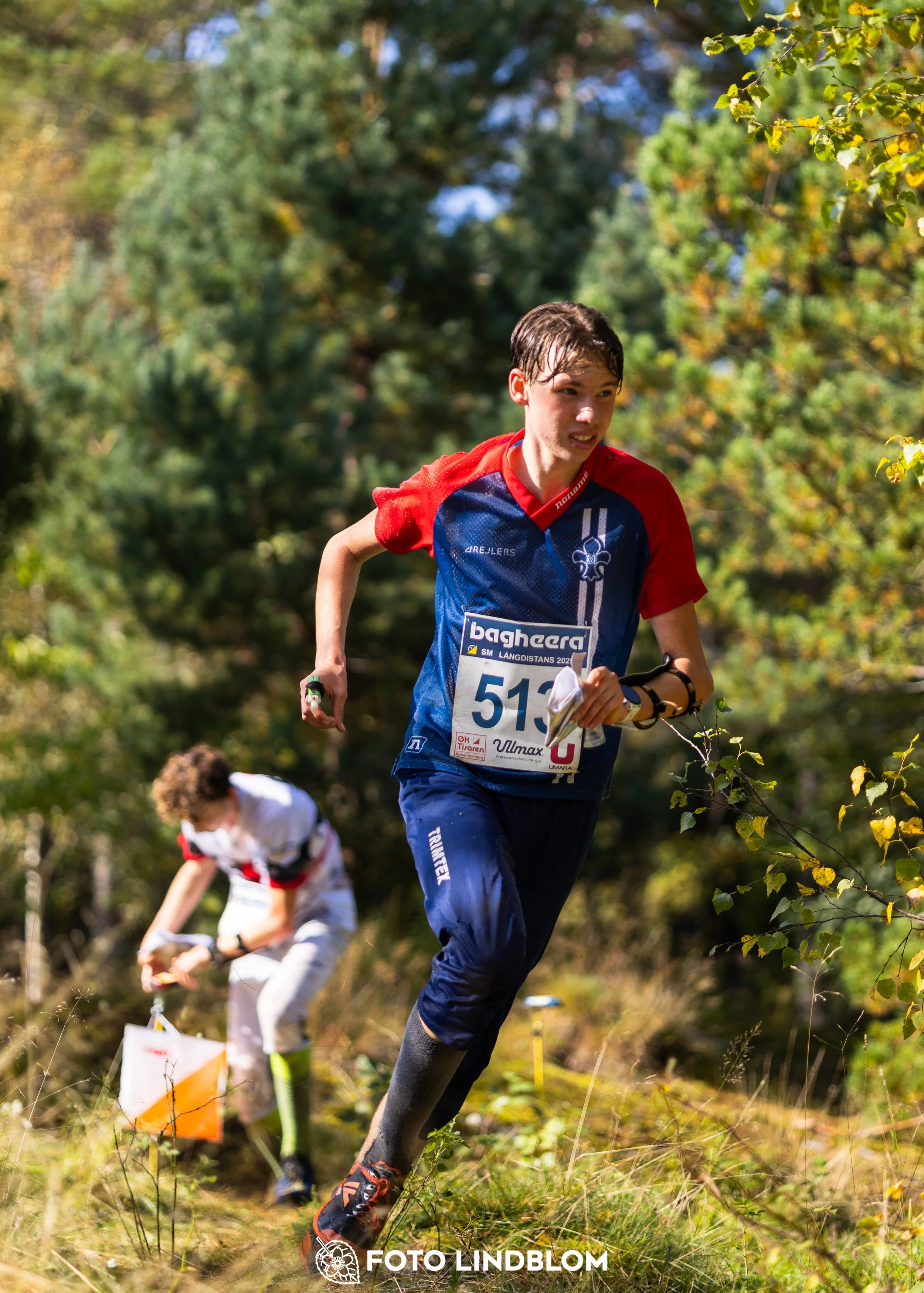 A picture from the Swedish national championship in long distance orienteering and Swedish league race taken by Foto Lindblom