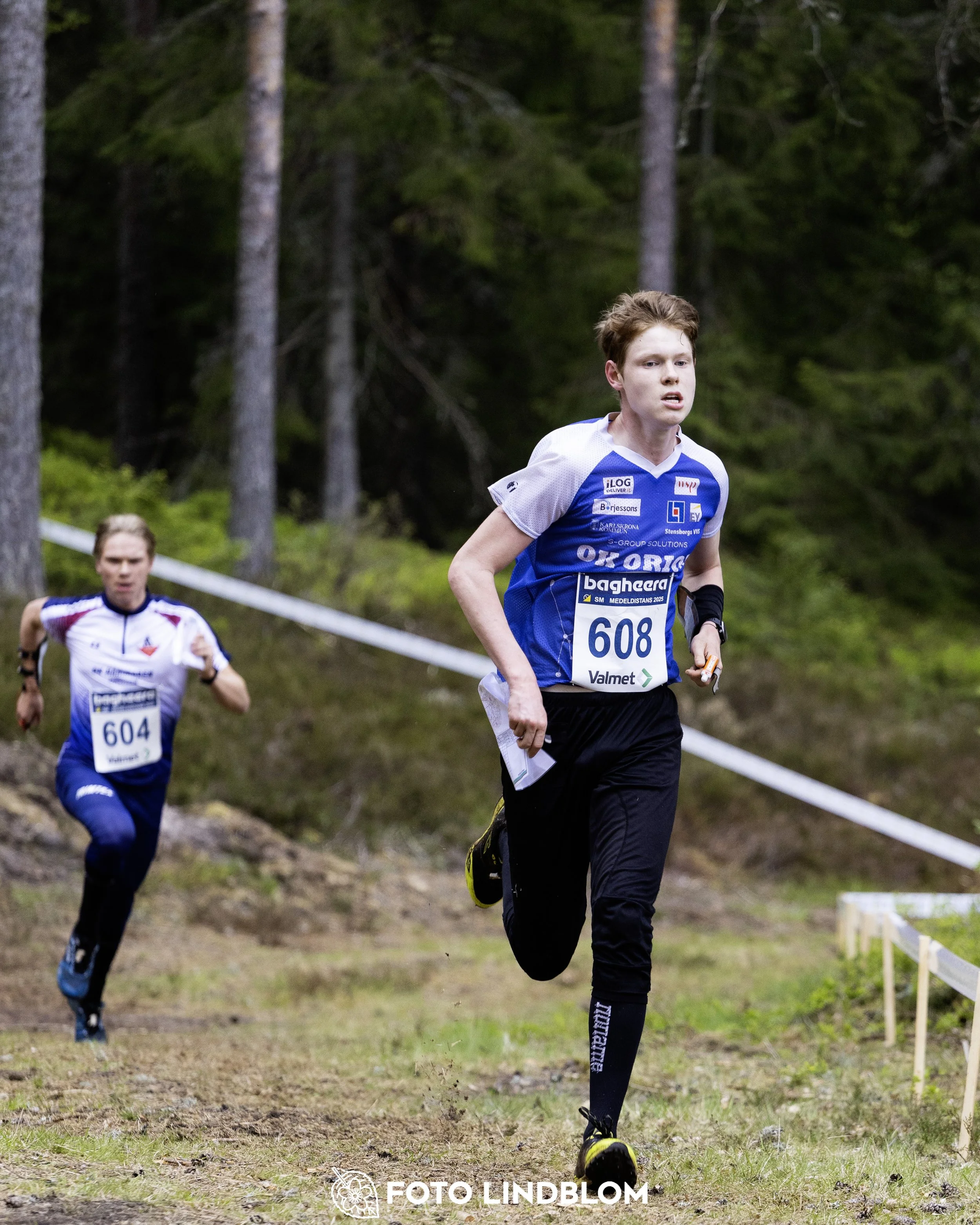 A picture from the Swedish national championship in middle distance orienteering and Swedish league race