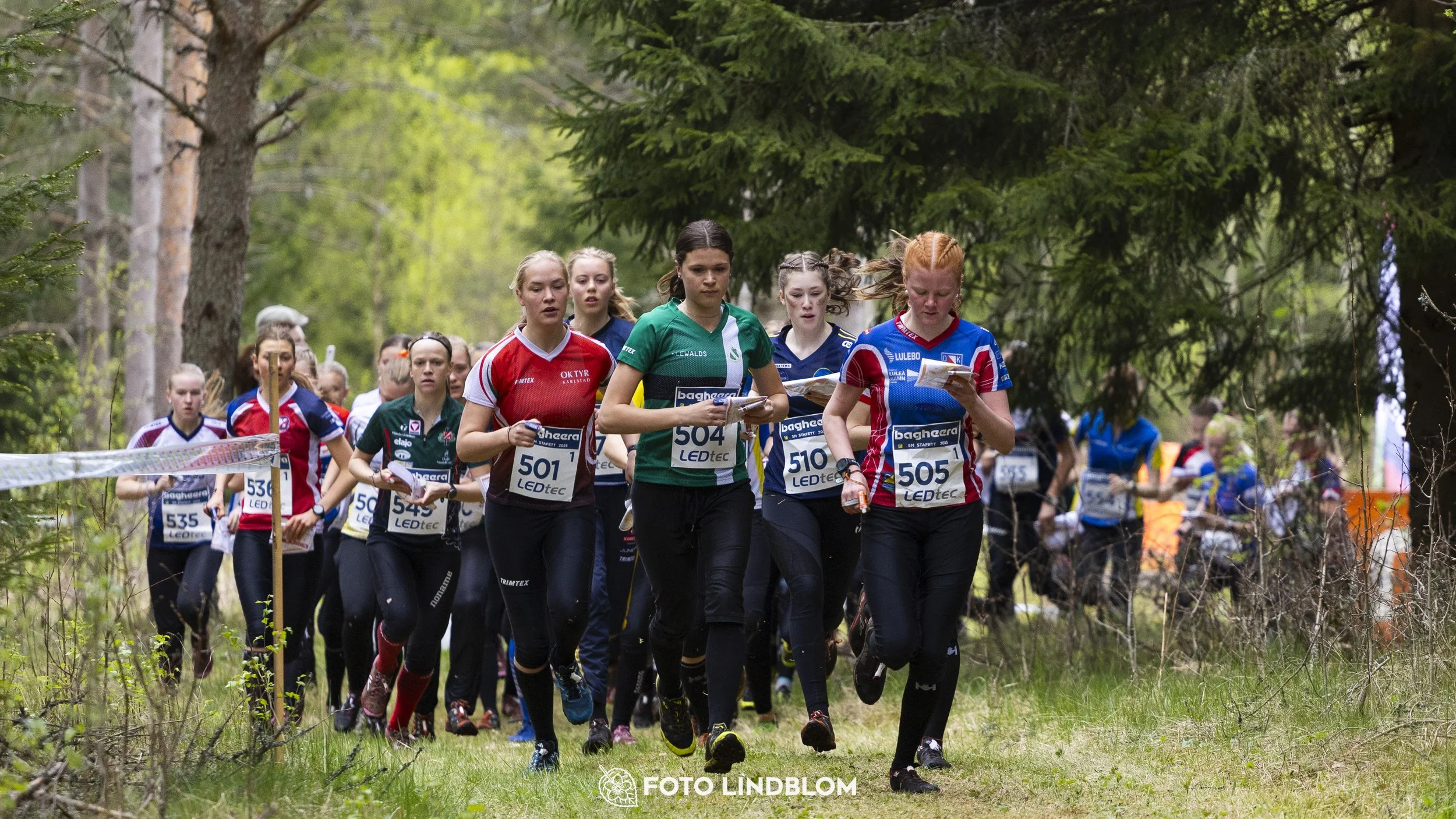 A picture from the Swedish national championship in relay orienteering