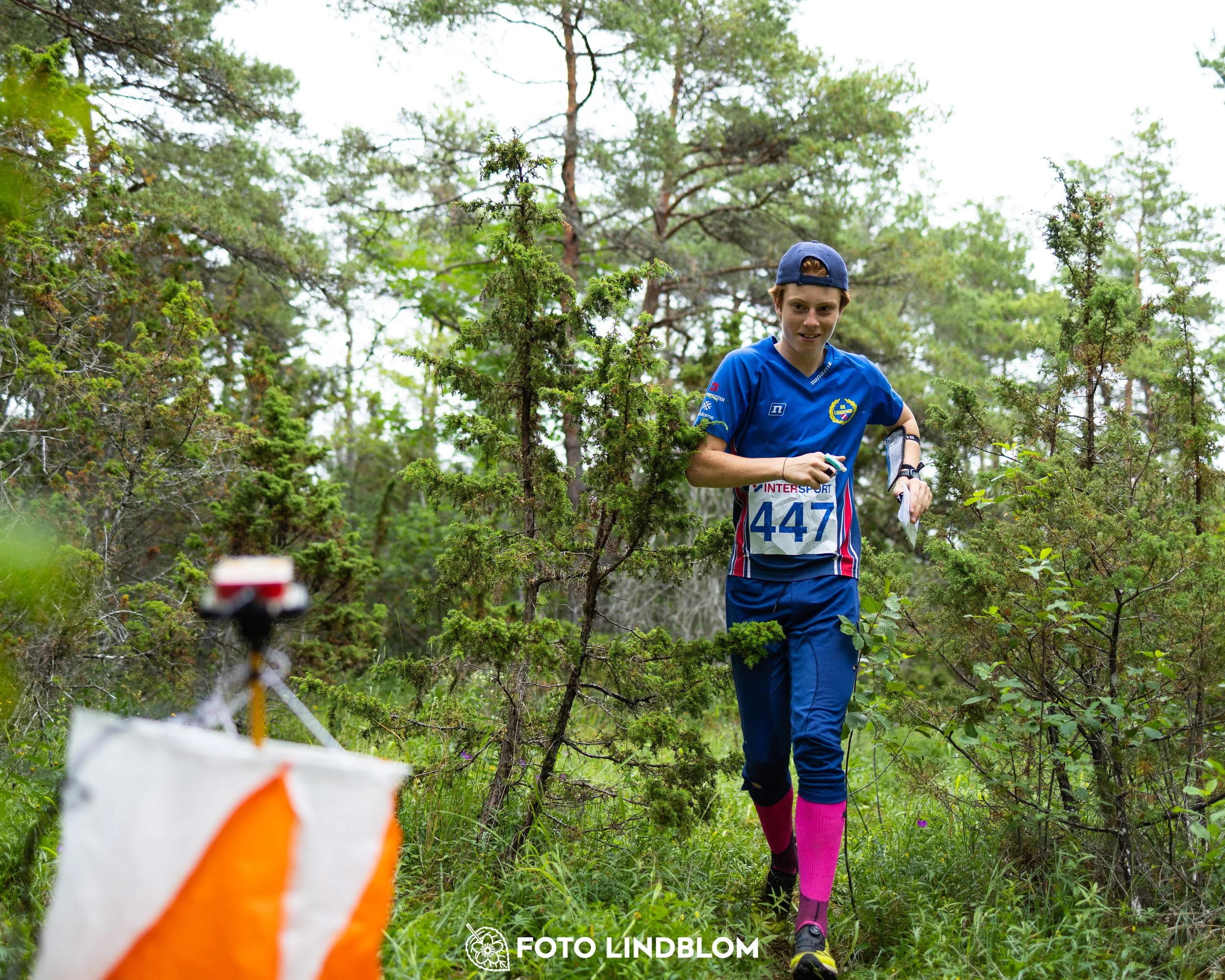A picture from the Gotlands 3-Dagars orienteering competition