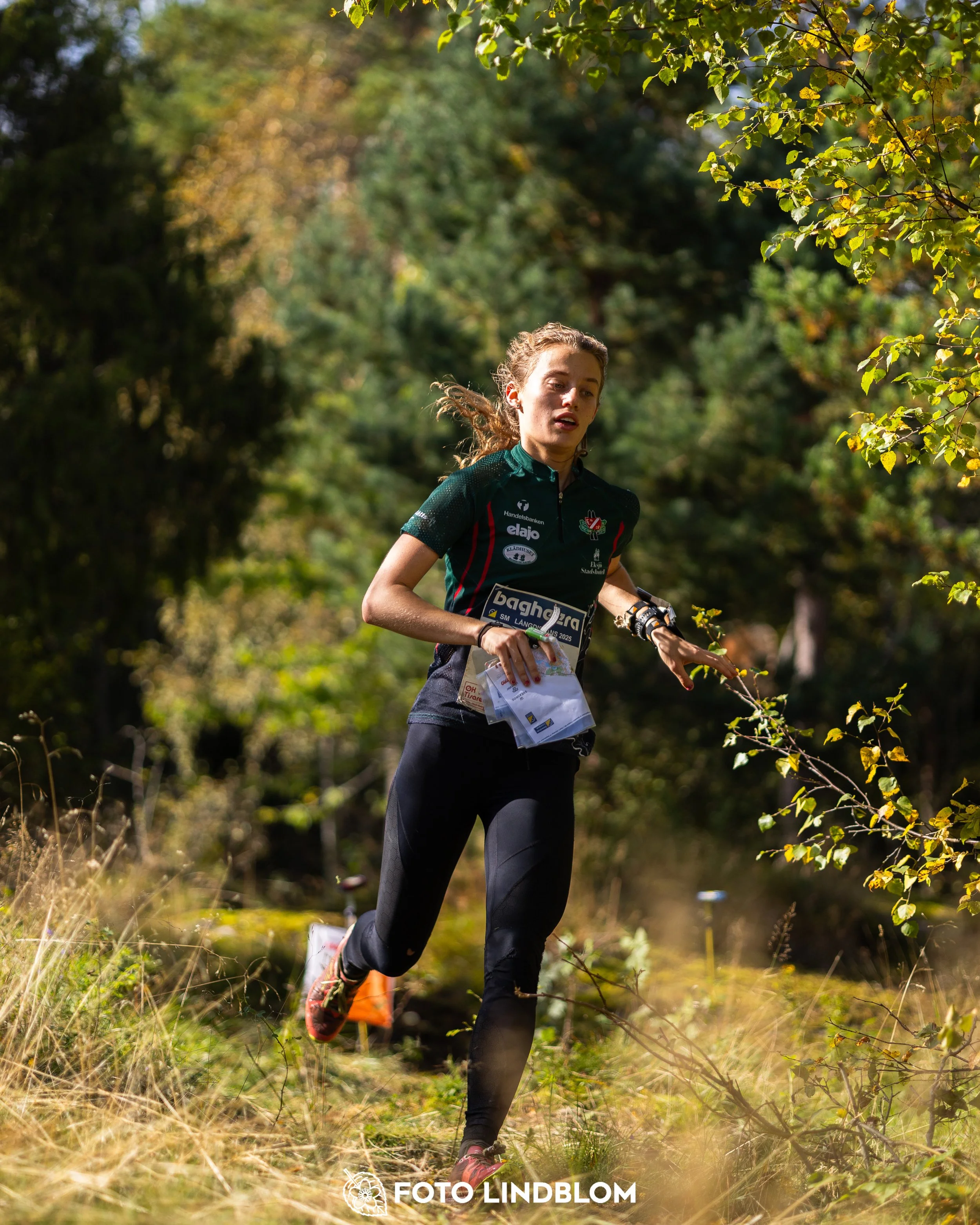 A picture from the Swedish national championship in long distance orienteering and Swedish league race taken by Foto Lindblom