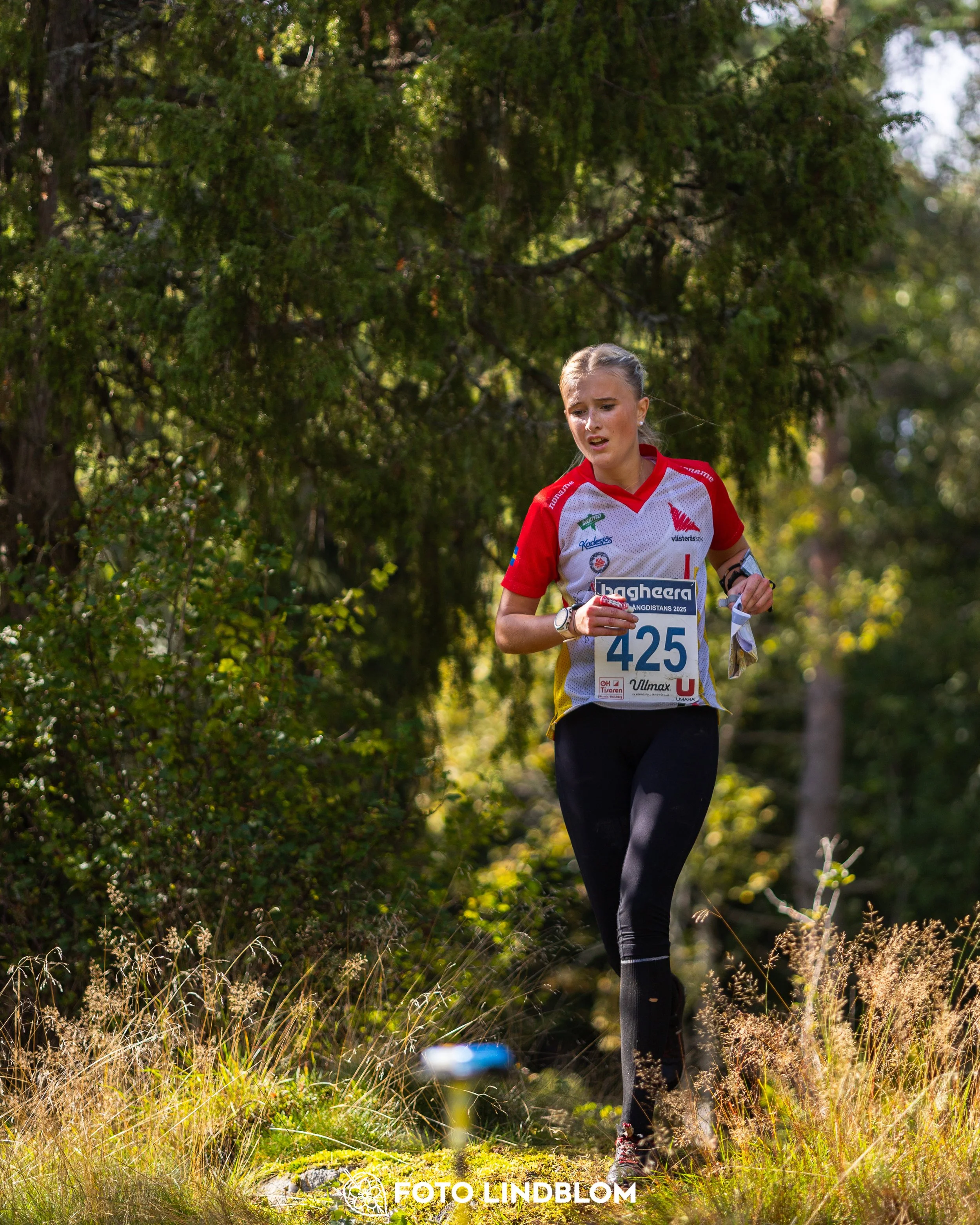 A picture from the Swedish national championship in long distance orienteering and Swedish league race taken by Foto Lindblom