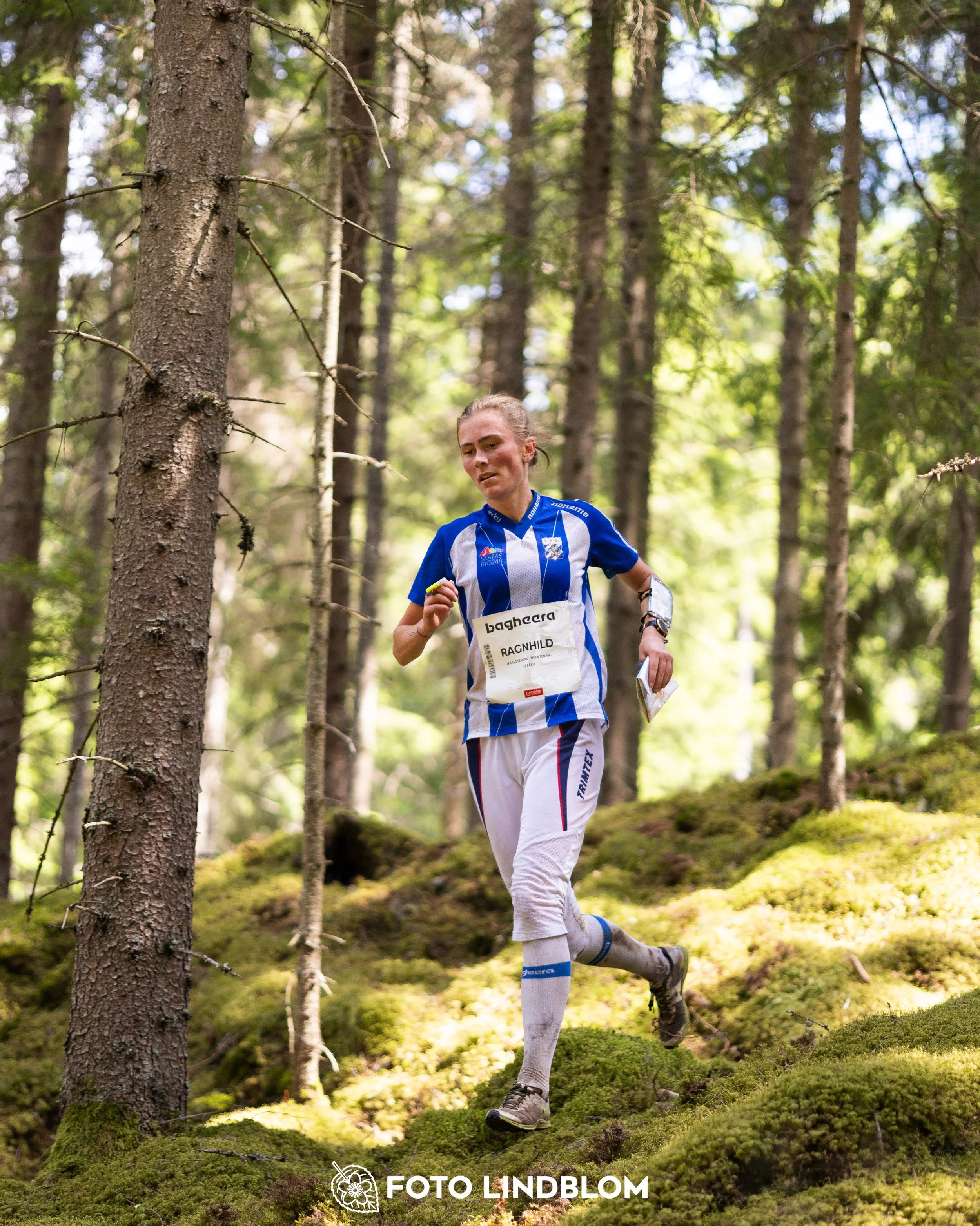 A picture from the first stage of Oringen 2025