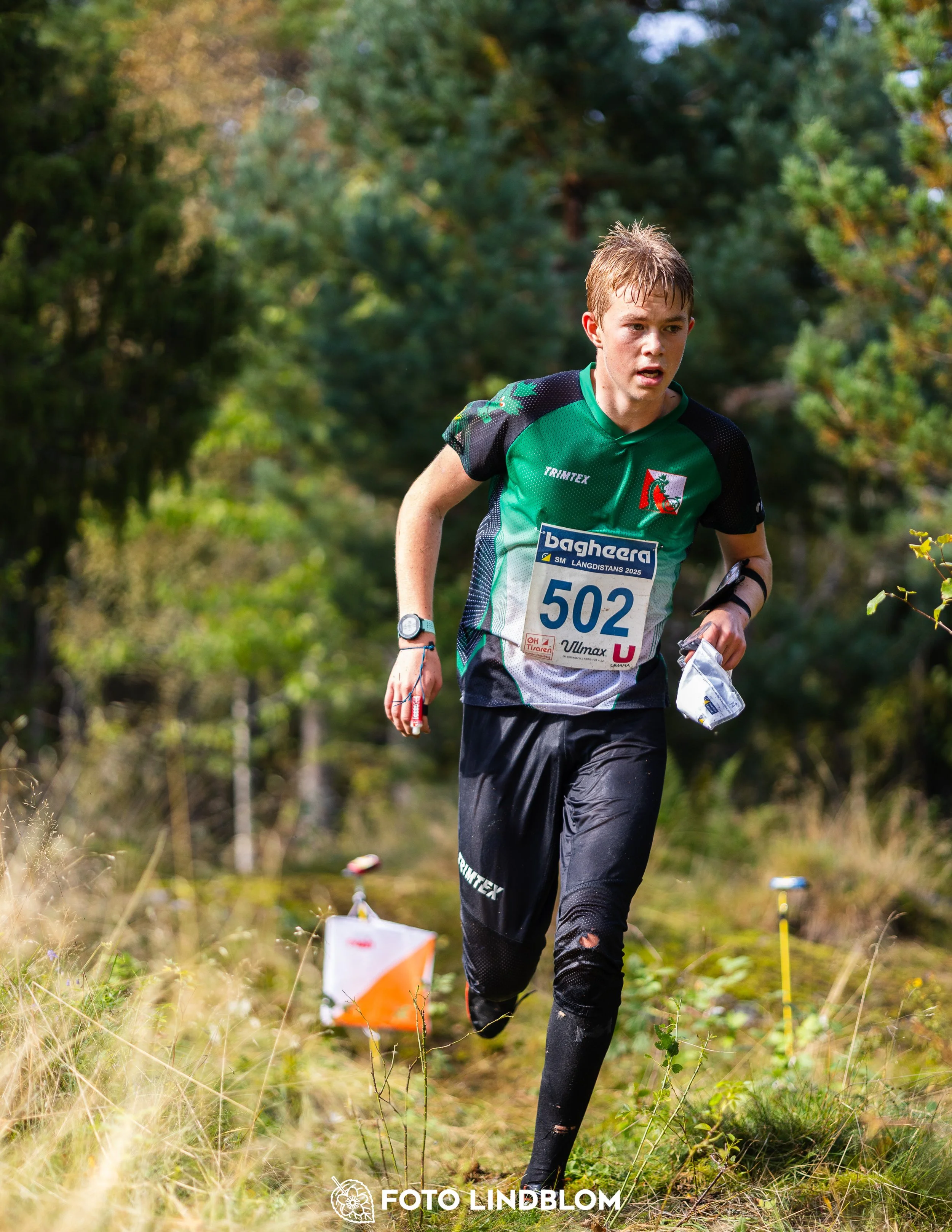 A picture from the Swedish national championship in long distance orienteering and Swedish league race taken by Foto Lindblom