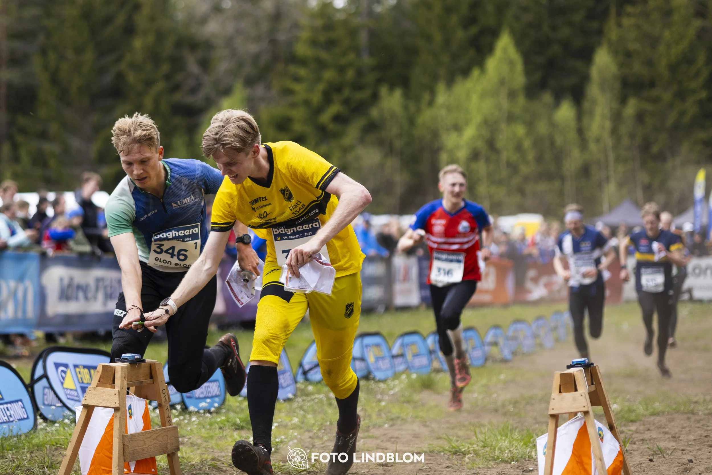 A picture from the Swedish national championship in relay orienteering