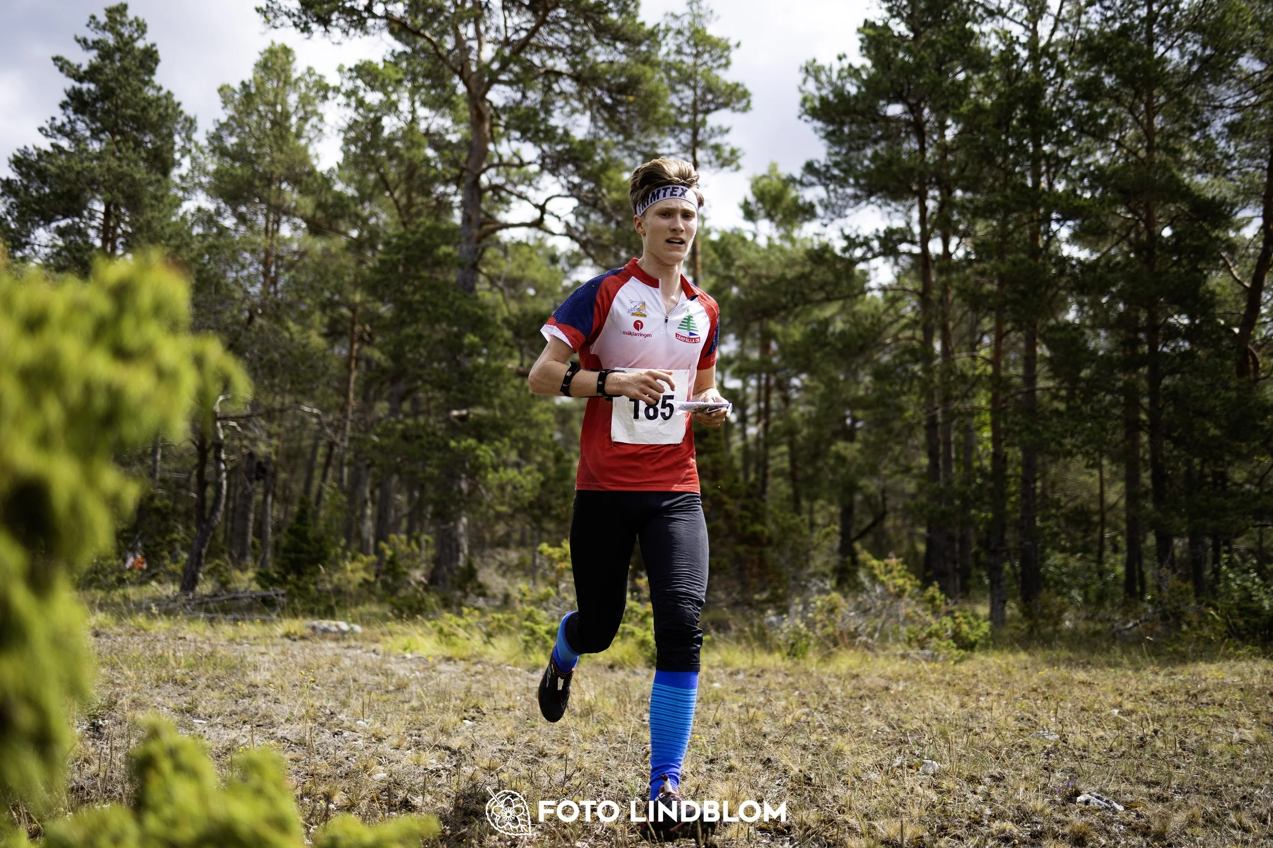 A picture from the Gotlands 2-Dagars orienteering competition