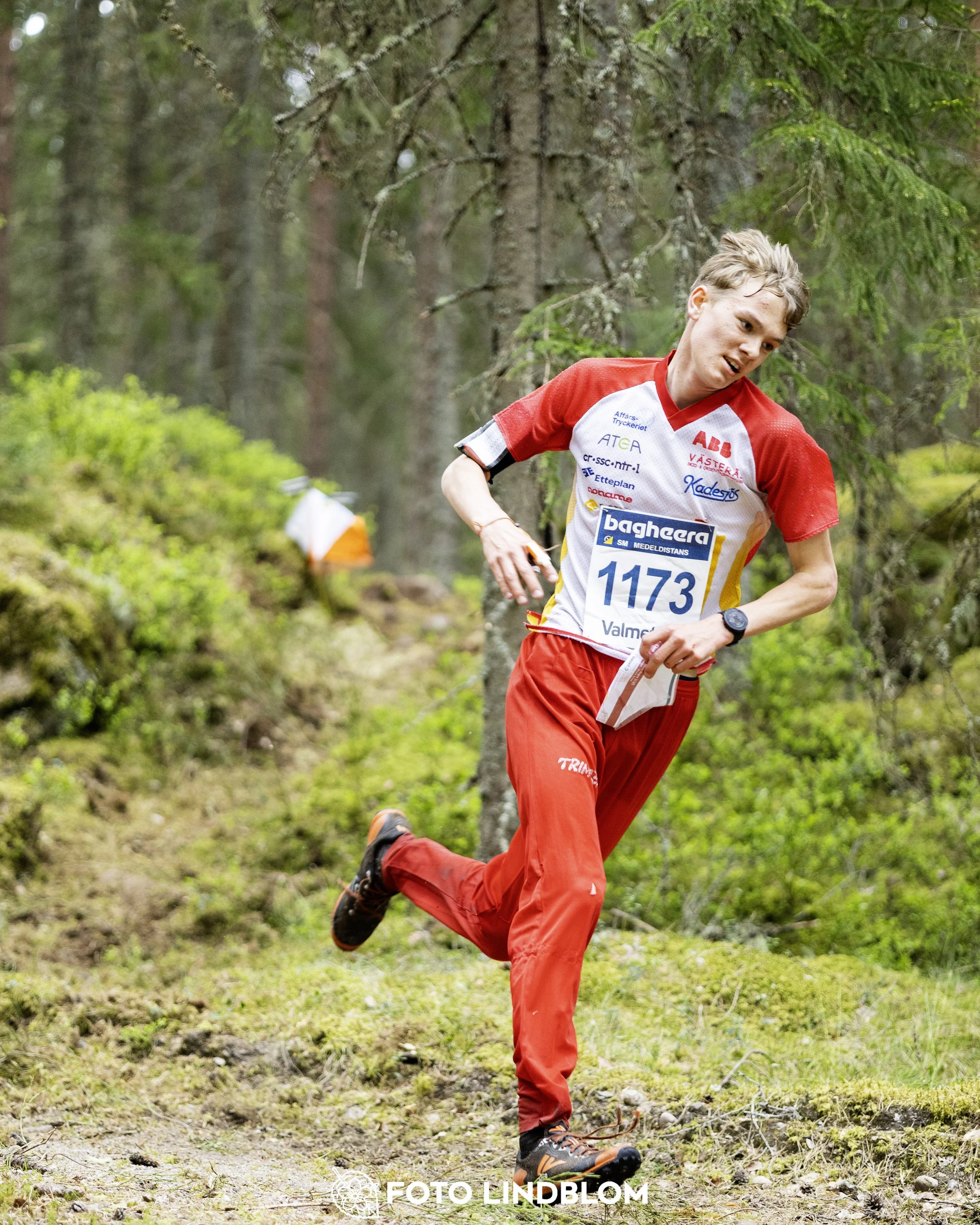 A picture from the Swedish national championship in middle distance orienteering and Swedish league race