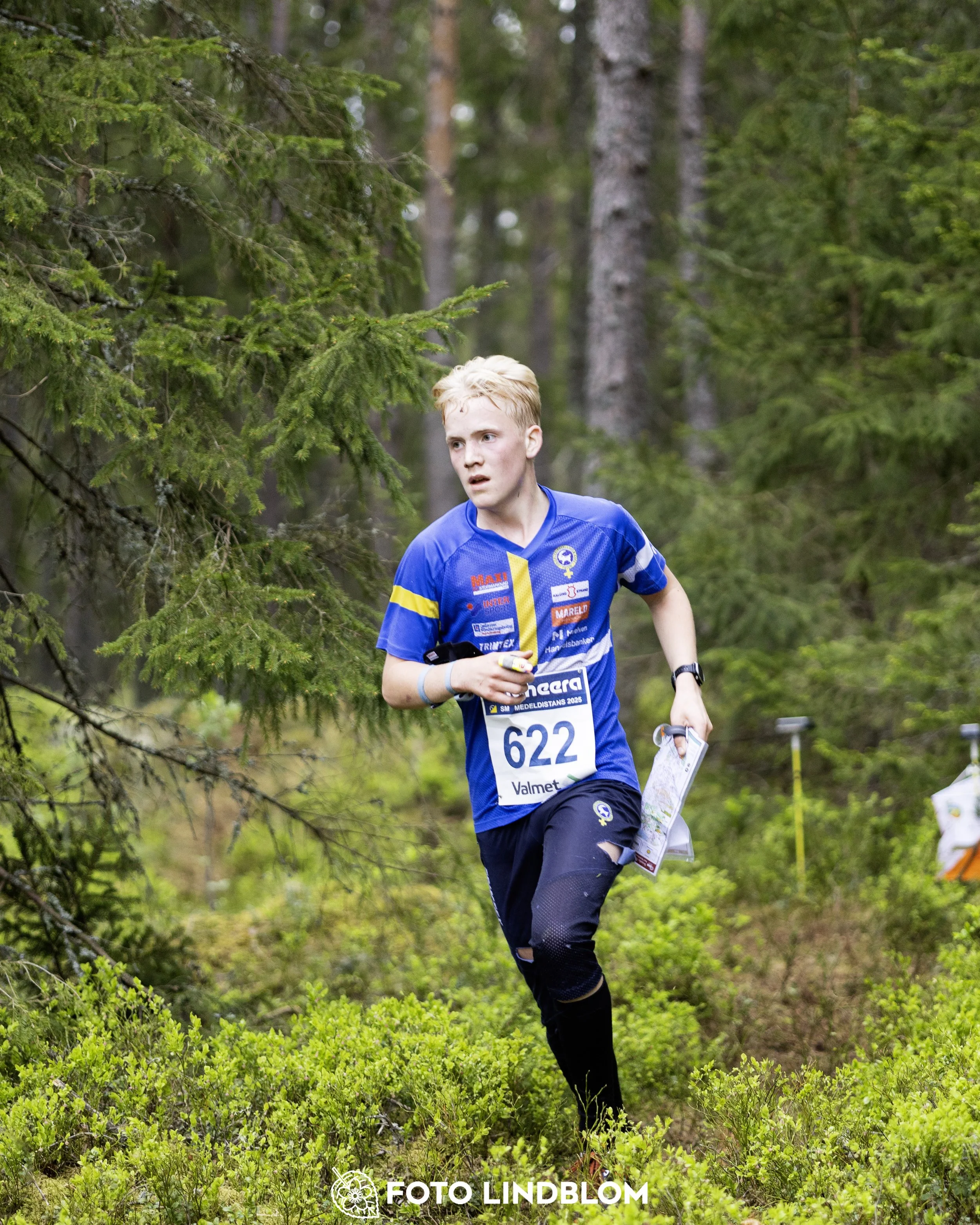 A picture from the Swedish national championship in middle distance orienteering and Swedish league race