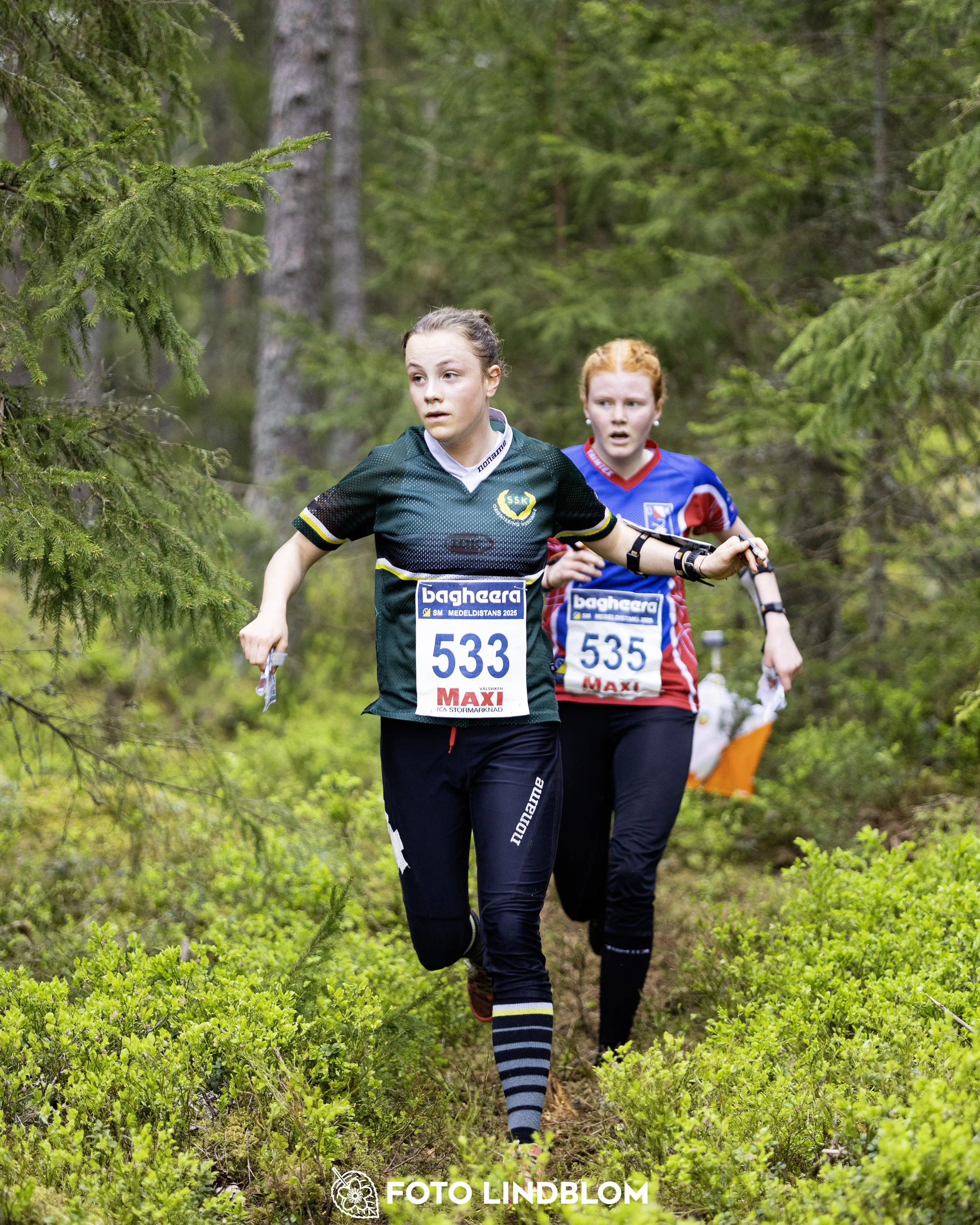 A picture from the Swedish national championship in middle distance orienteering and Swedish league race
