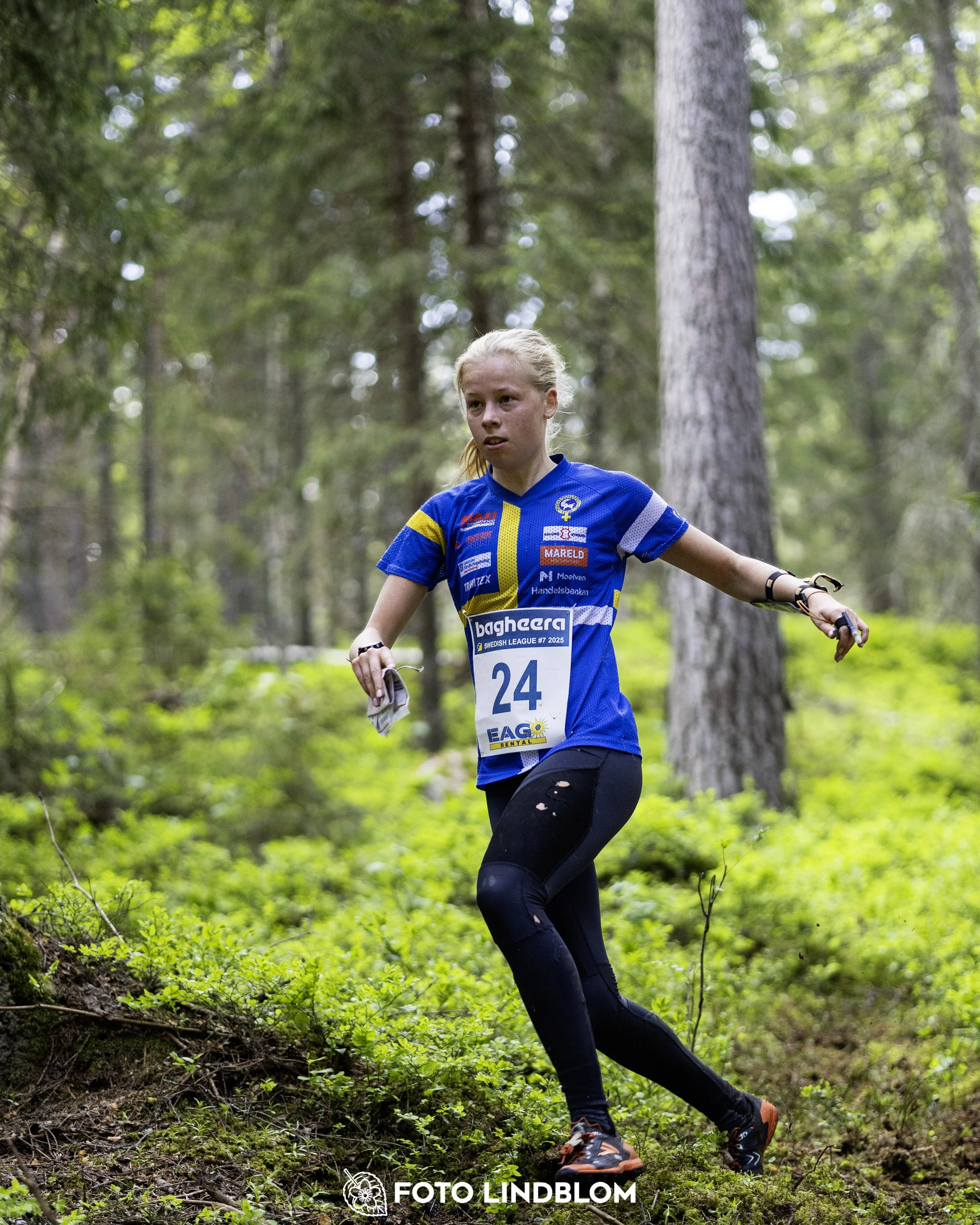 A picture from the seventh stage of the Swedish League orienteering competition