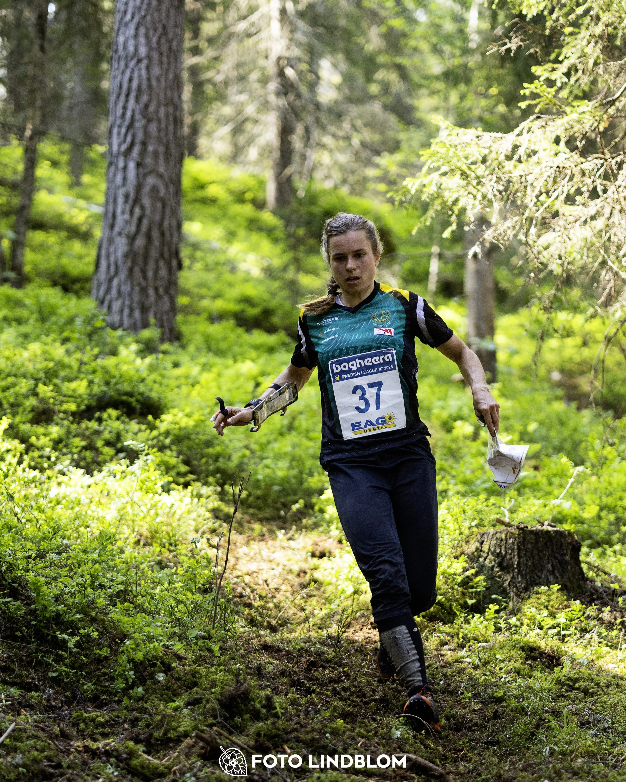A picture from the seventh stage of the Swedish League orienteering competition