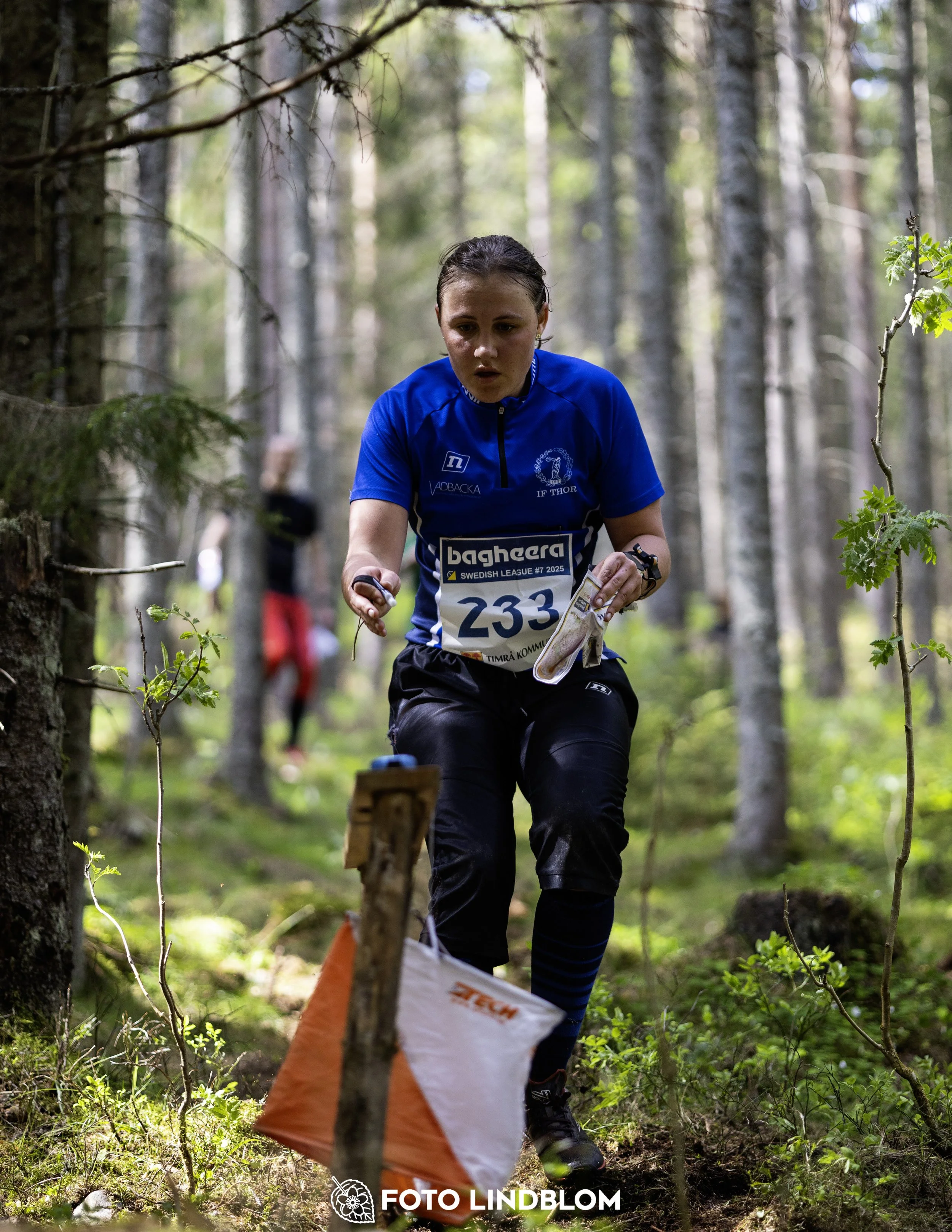 A picture from the seventh stage of the Swedish League orienteering competition
