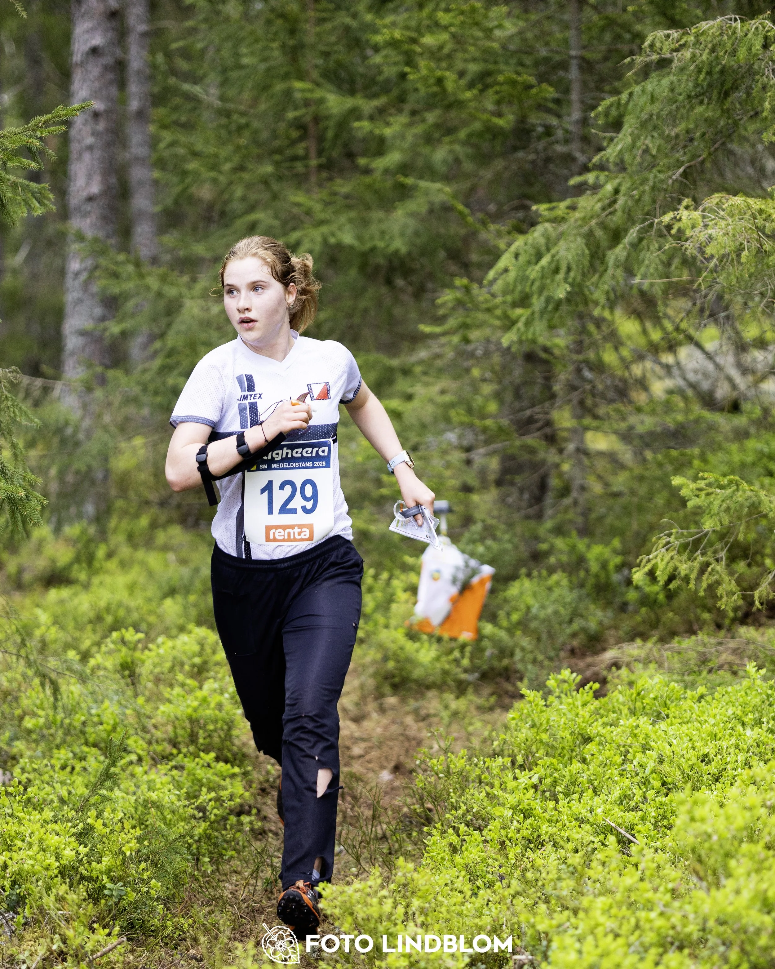 A picture from the Swedish national championship in middle distance orienteering and Swedish league race