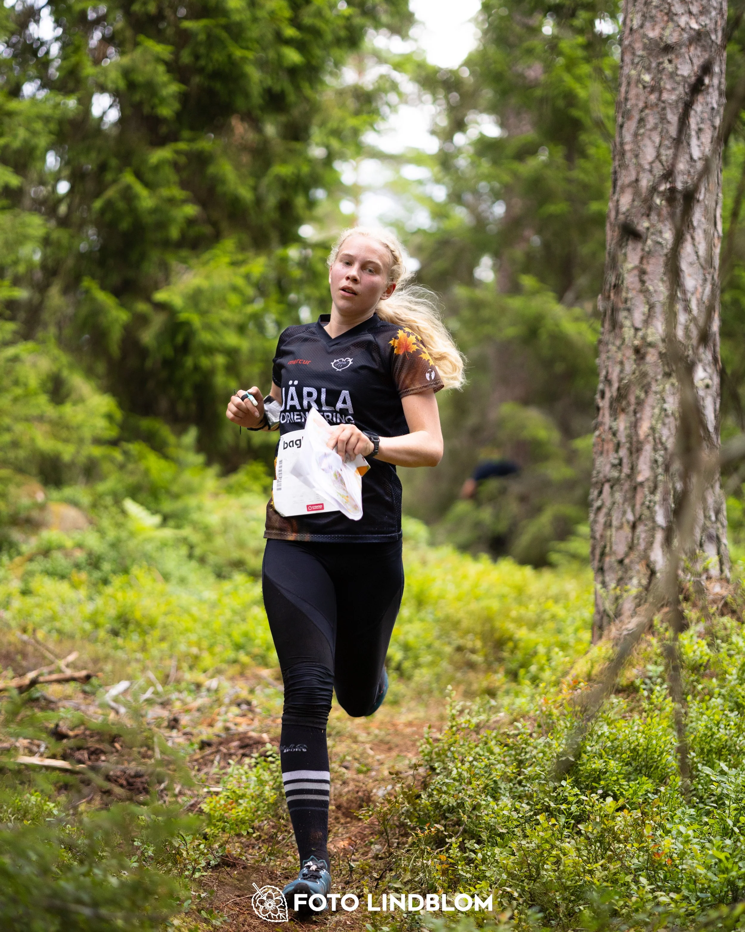 A picture from the second stage of Oringen 2025