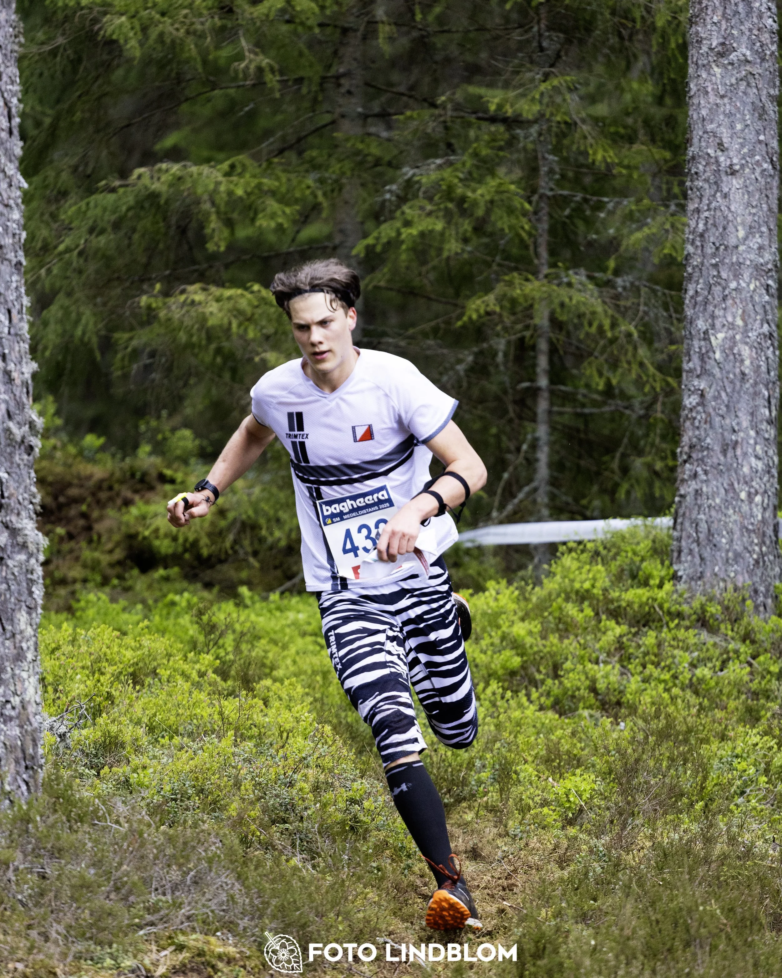 A picture from the Swedish national championship in middle distance orienteering and Swedish league race