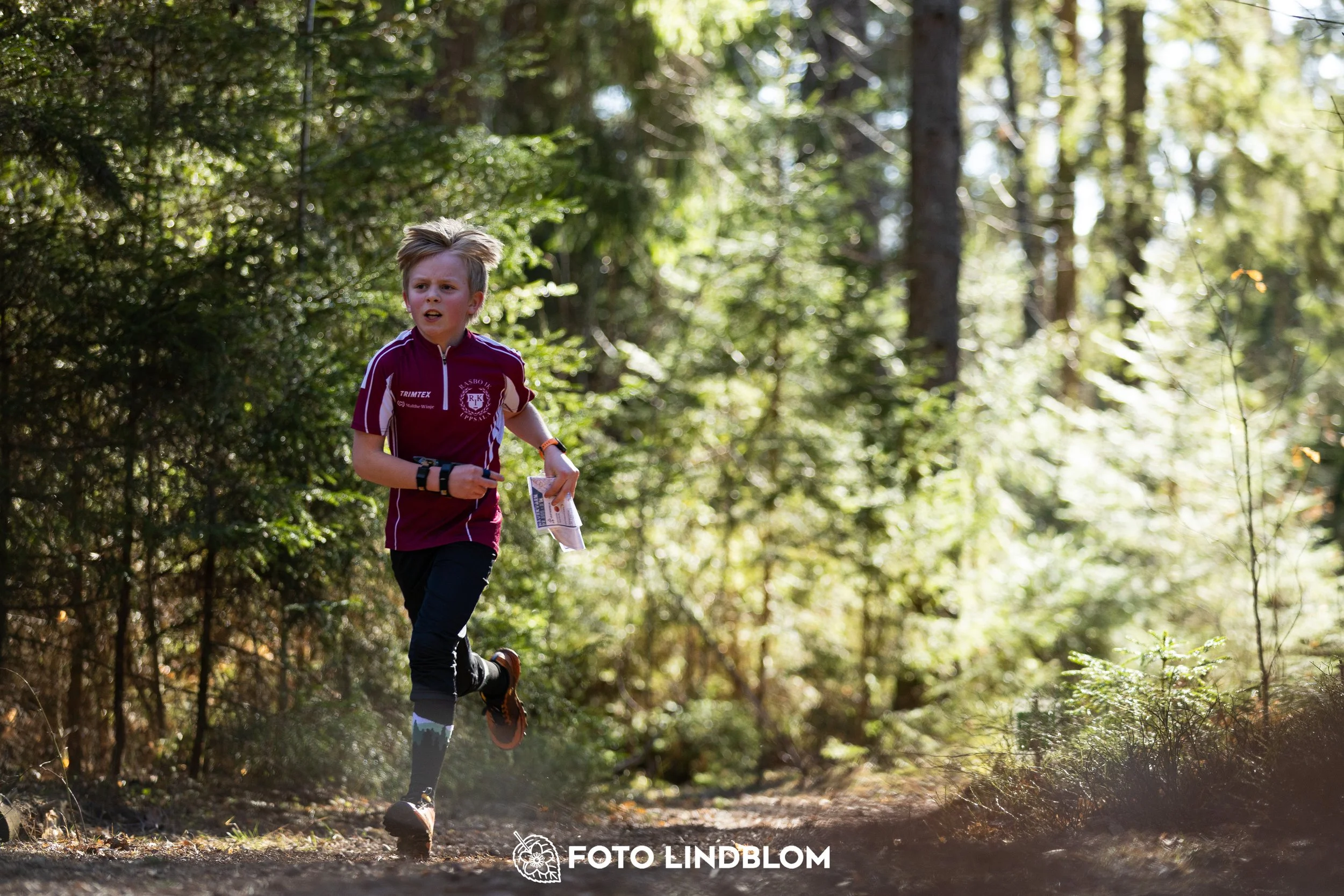 Orienteering in forest terrain at Nyköpingsorienteringen 2026, photographed by Foto Lindblom.