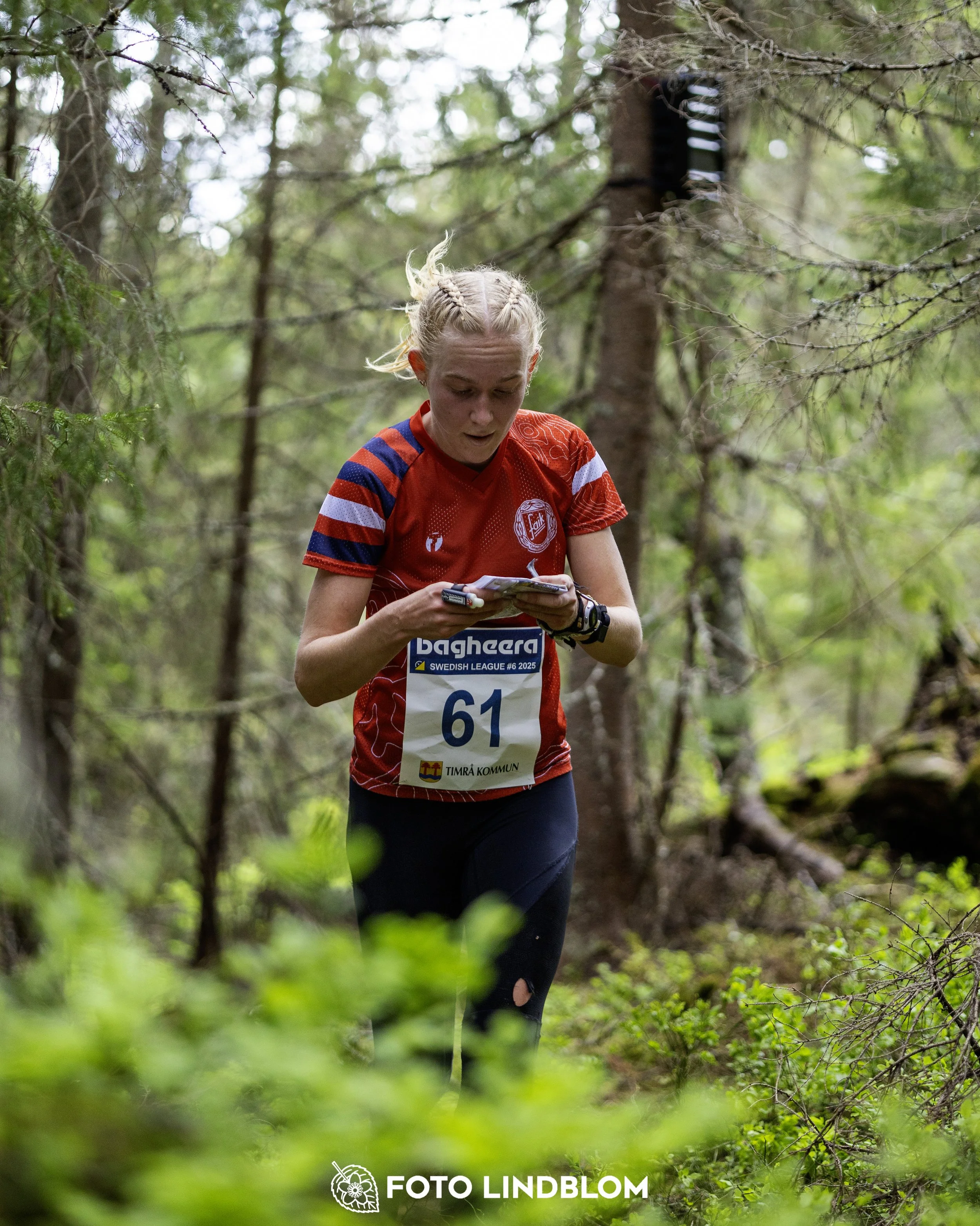 A picture from the seventh stage of the Swedish League orienteering competition