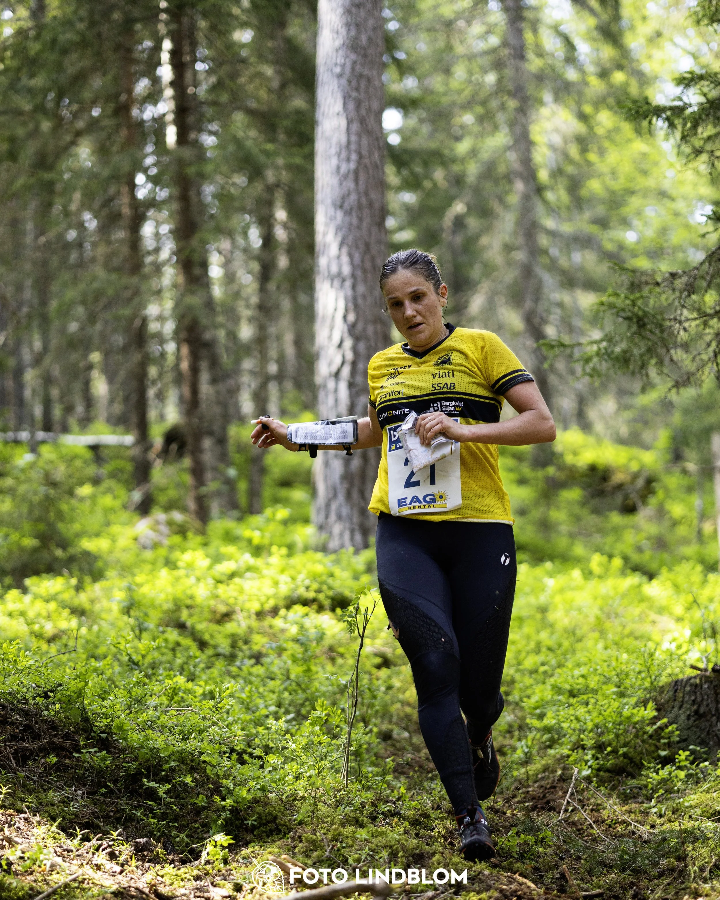 A picture from the seventh stage of the Swedish League orienteering competition