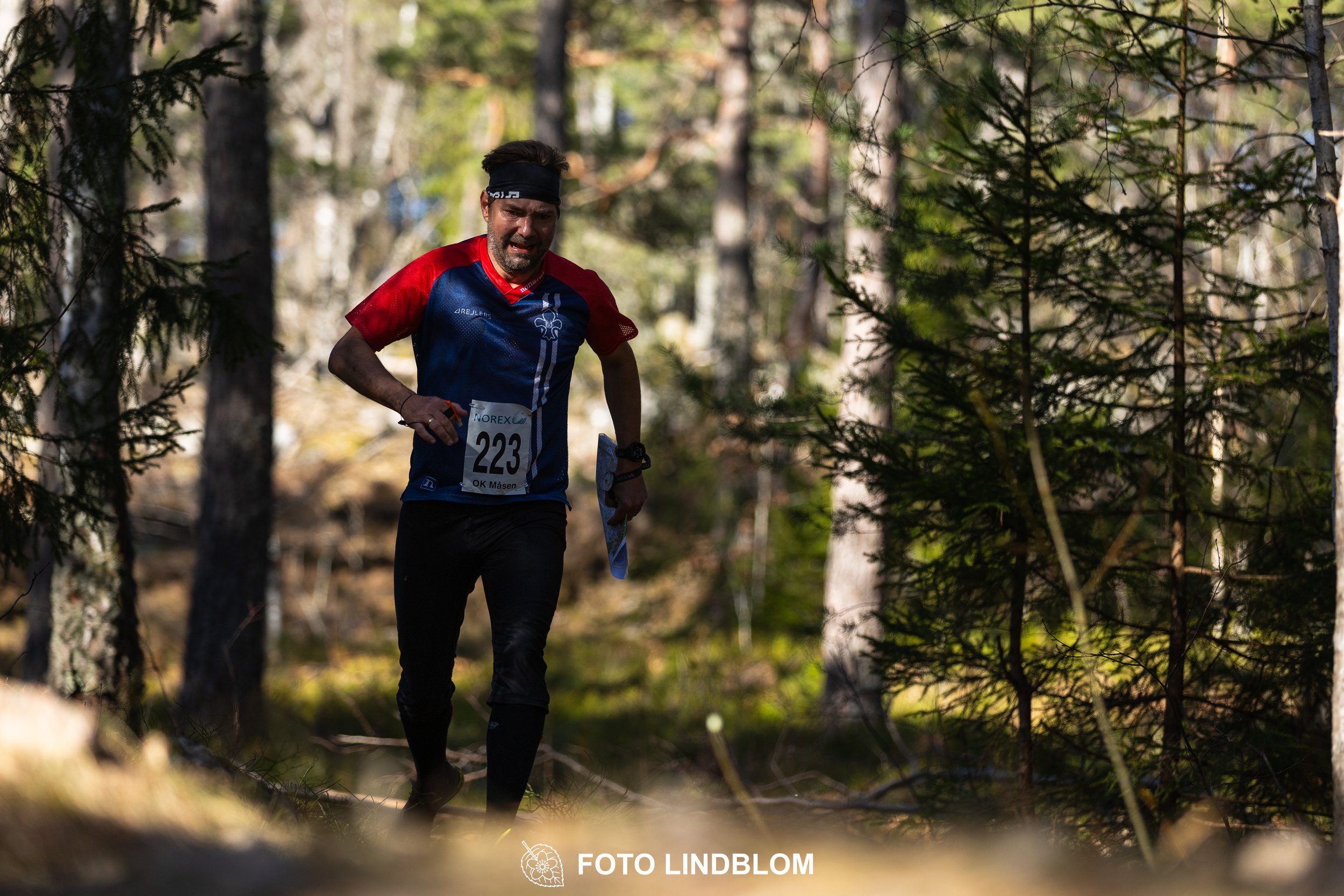 Image from Måsenstafetten 2026 showing orienteering relay teams competing in Swedish forest terrain, taken by Foto Lindblom.