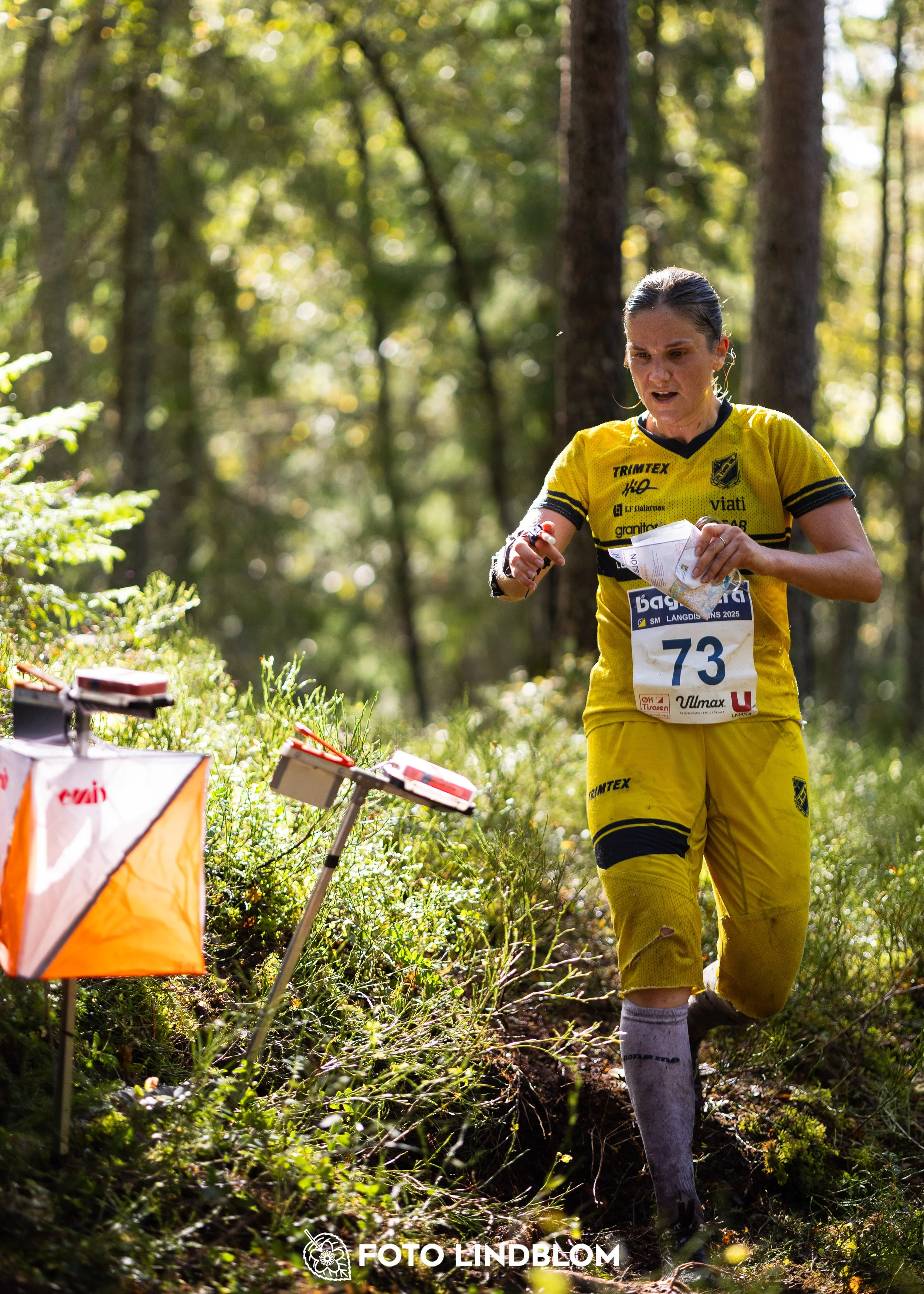 A picture from the Swedish national championship in long distance orienteering and Swedish league race taken by Foto Lindblom