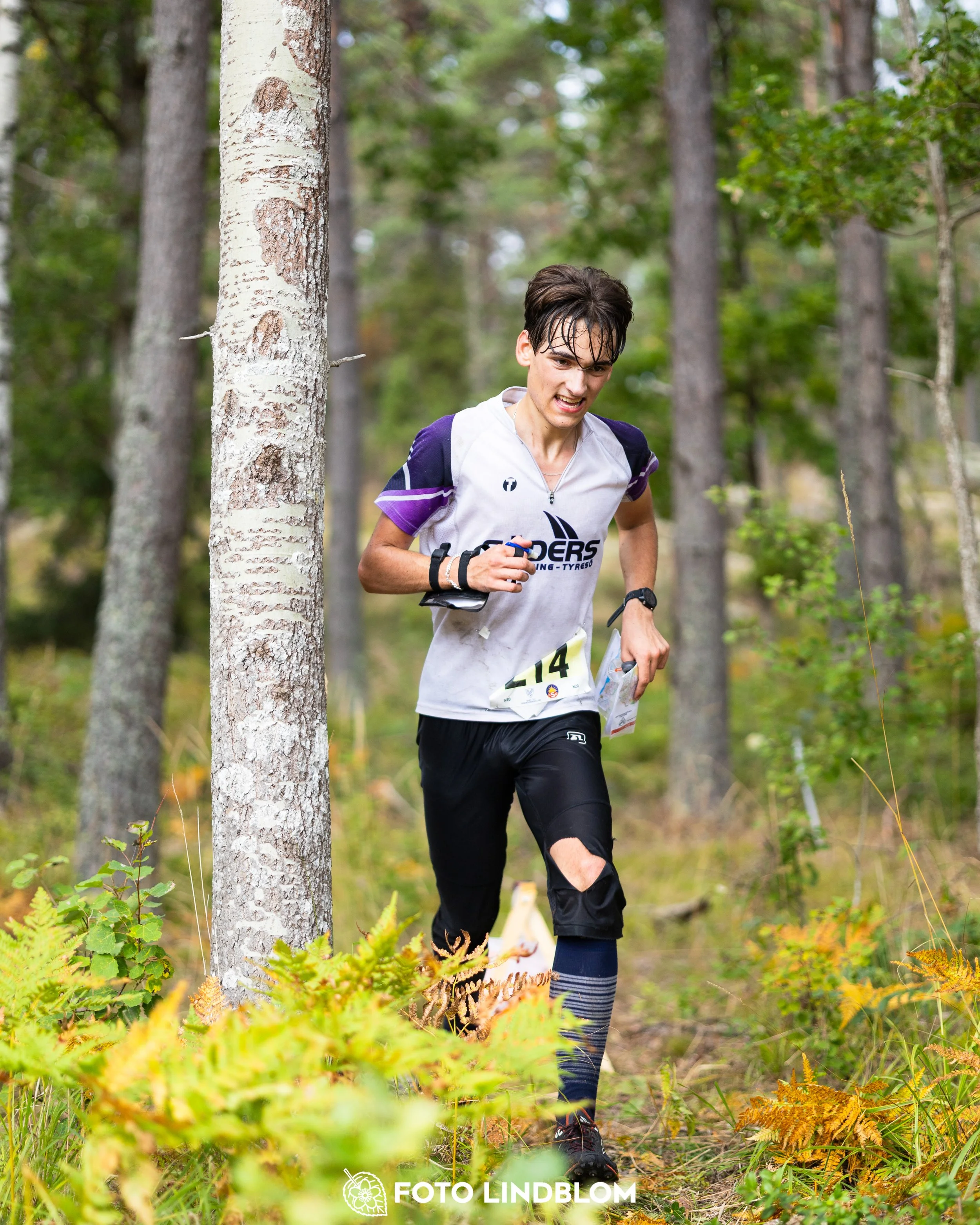 A picture from the Stockholm district championship in middle distance orienteering taken by Foto Lindblom