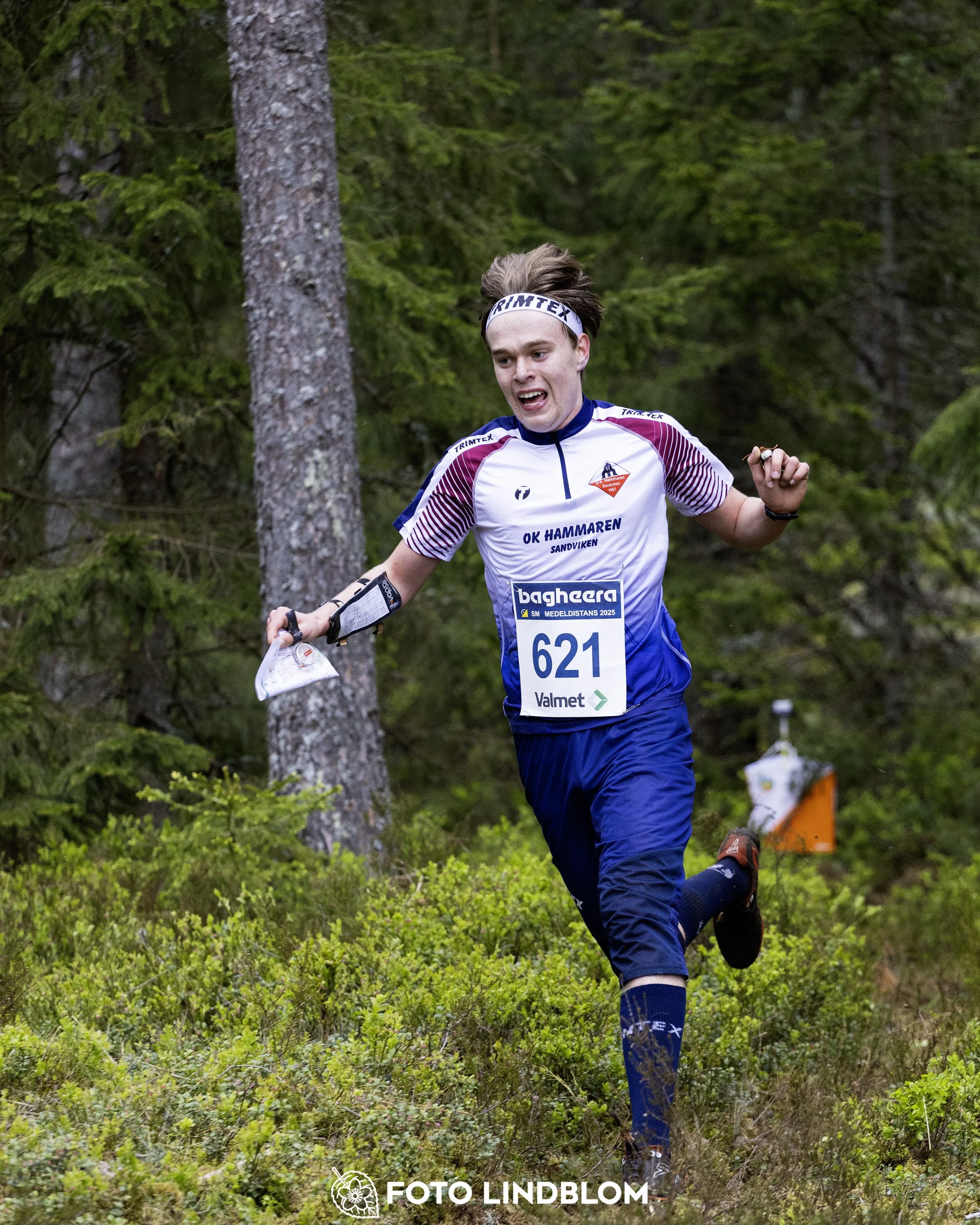 A picture from the Swedish national championship in middle distance orienteering and Swedish league race