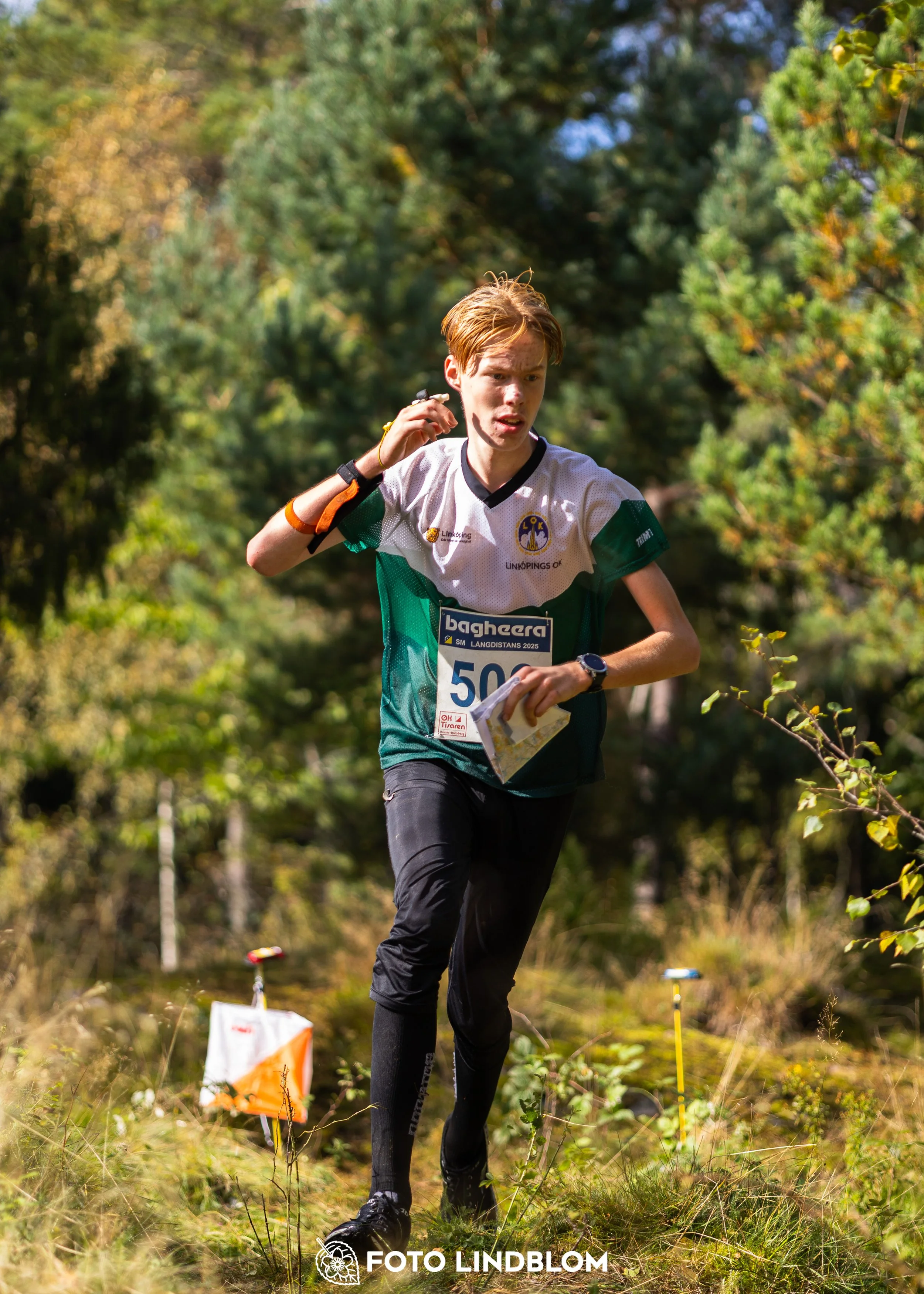 A picture from the Swedish national championship in long distance orienteering and Swedish league race taken by Foto Lindblom