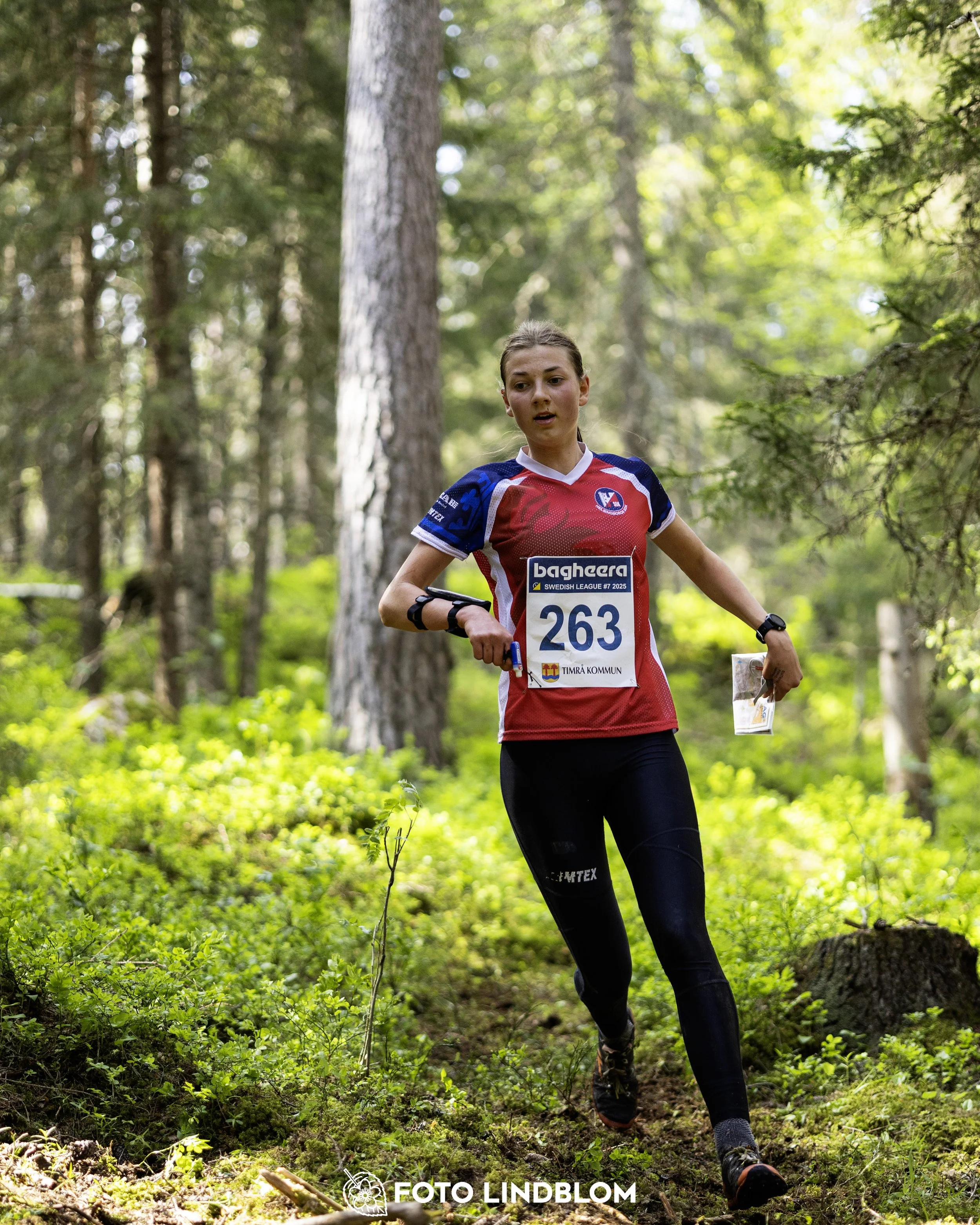 A picture from the seventh stage of the Swedish League orienteering competition