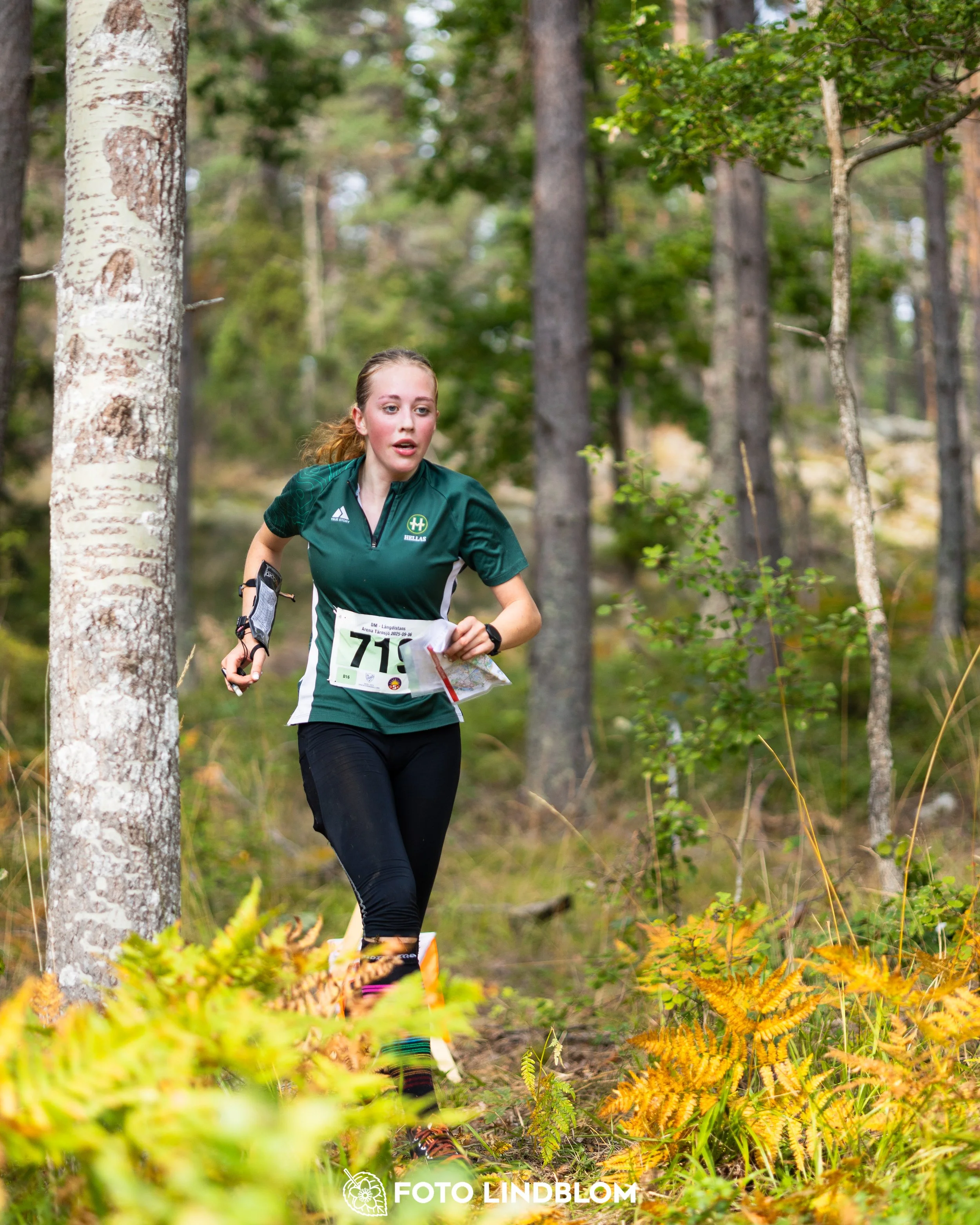 A picture from the Stockholm district championship in middle distance orienteering taken by Foto Lindblom