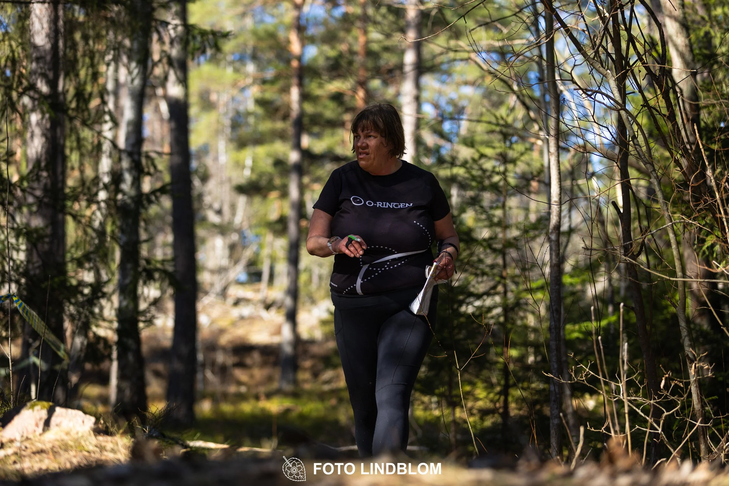 Image from Måsenstafetten 2026 showing orienteering relay teams competing in Swedish forest terrain, taken by Foto Lindblom.