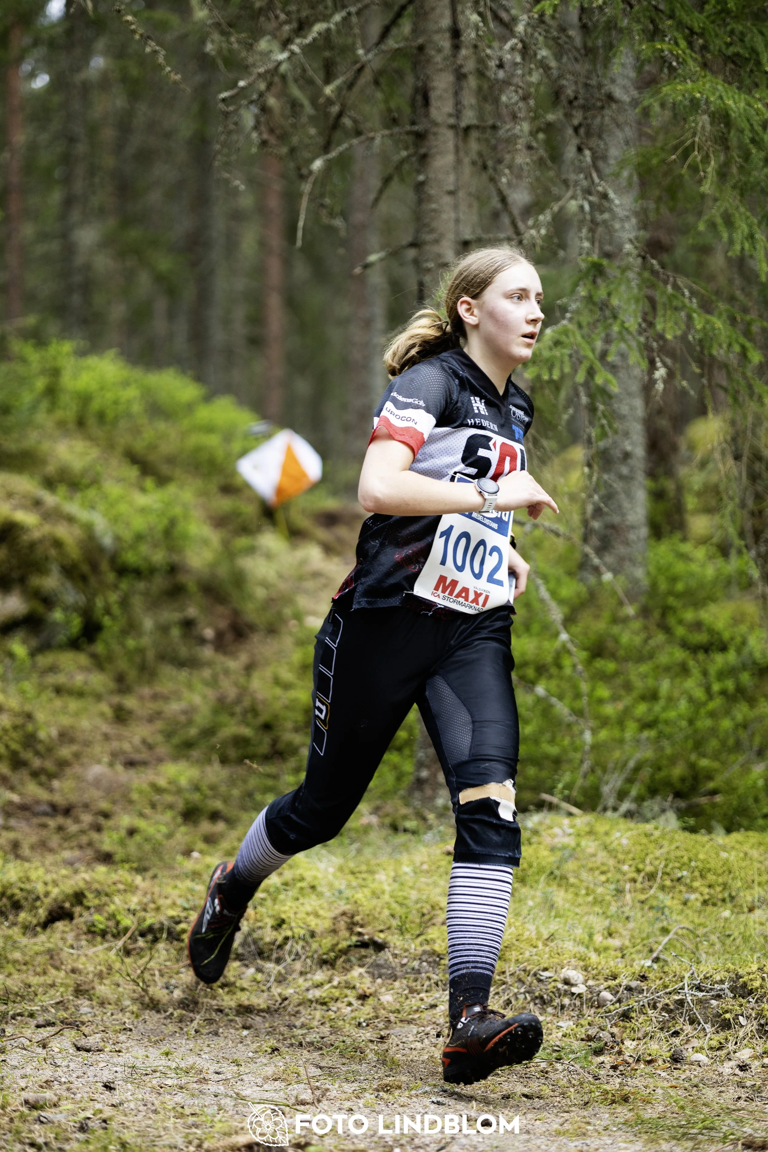A picture from the Swedish national championship in middle distance orienteering and Swedish league race