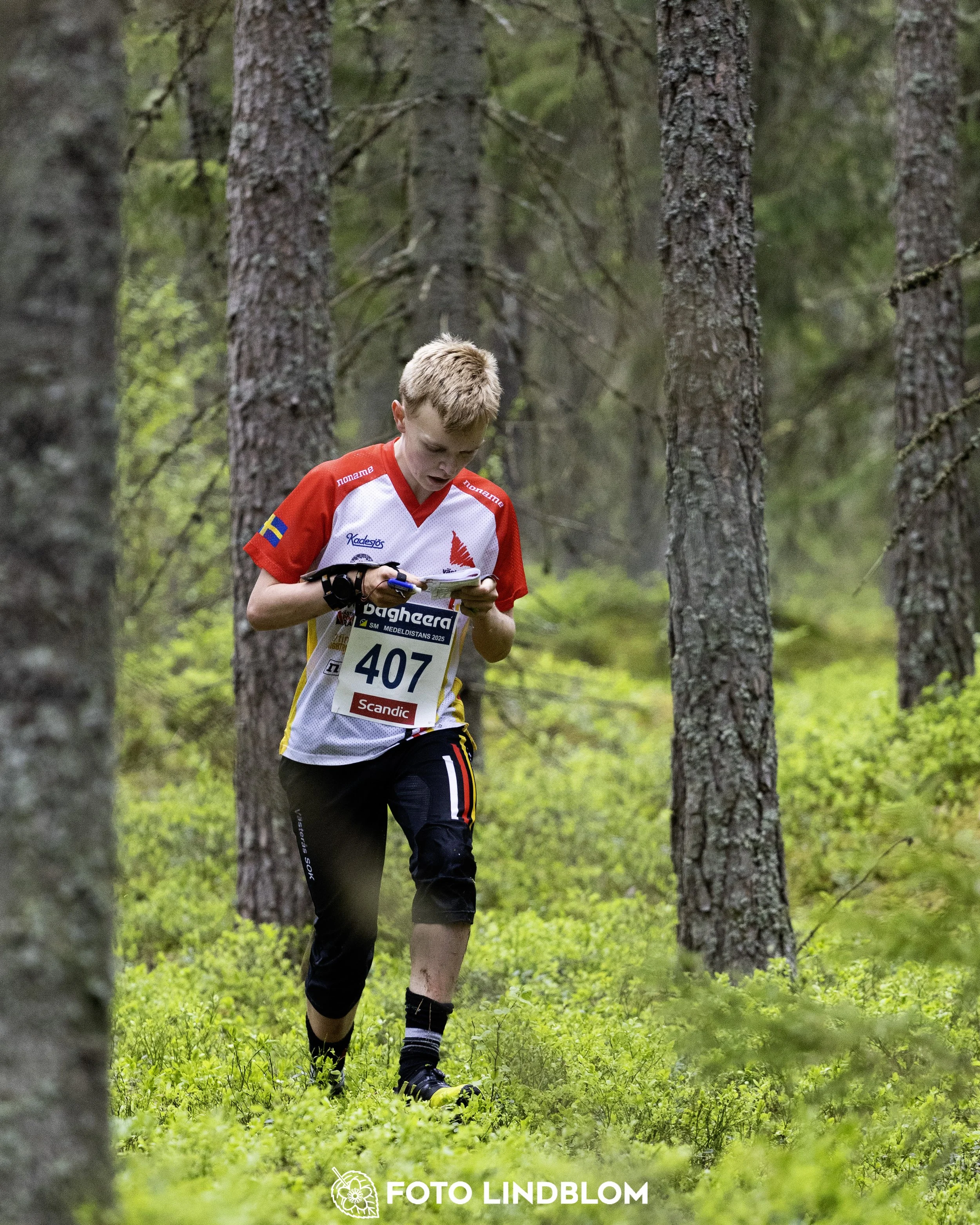 A picture from the Swedish national championship in middle distance orienteering and Swedish league race