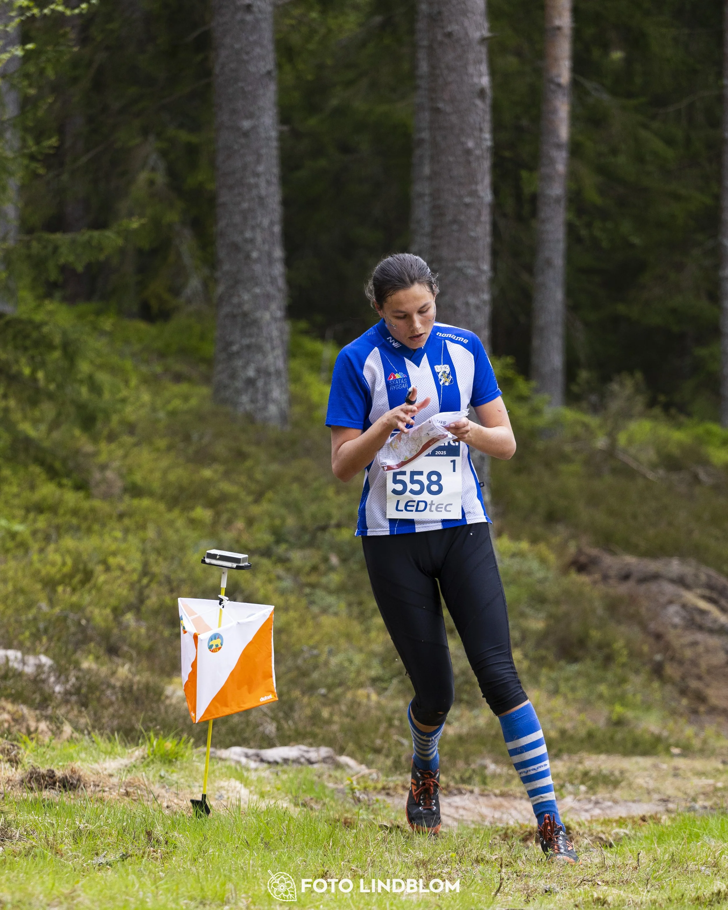 A picture from the Swedish national championship in relay orienteering