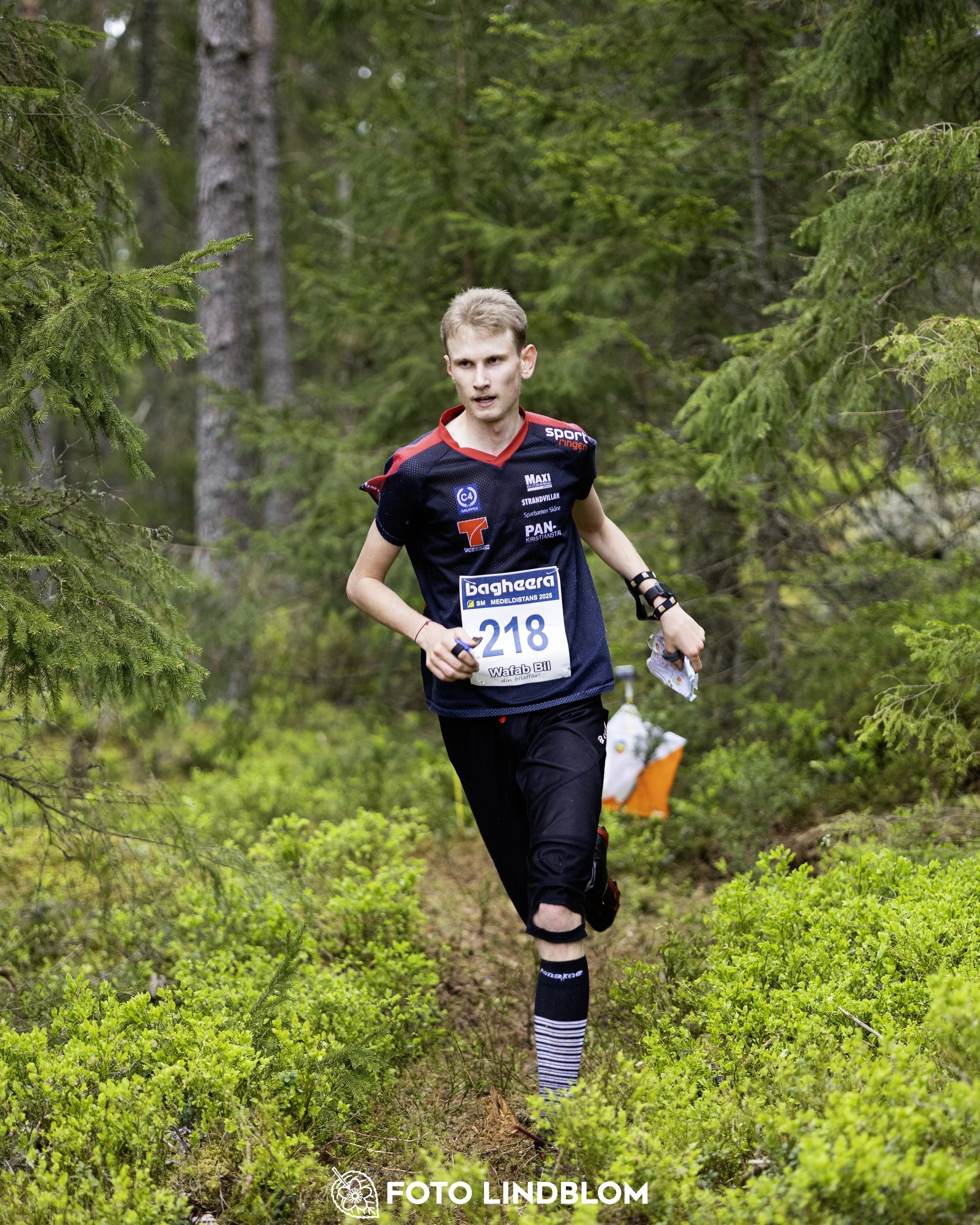 A picture from the Swedish national championship in middle distance orienteering and Swedish league race