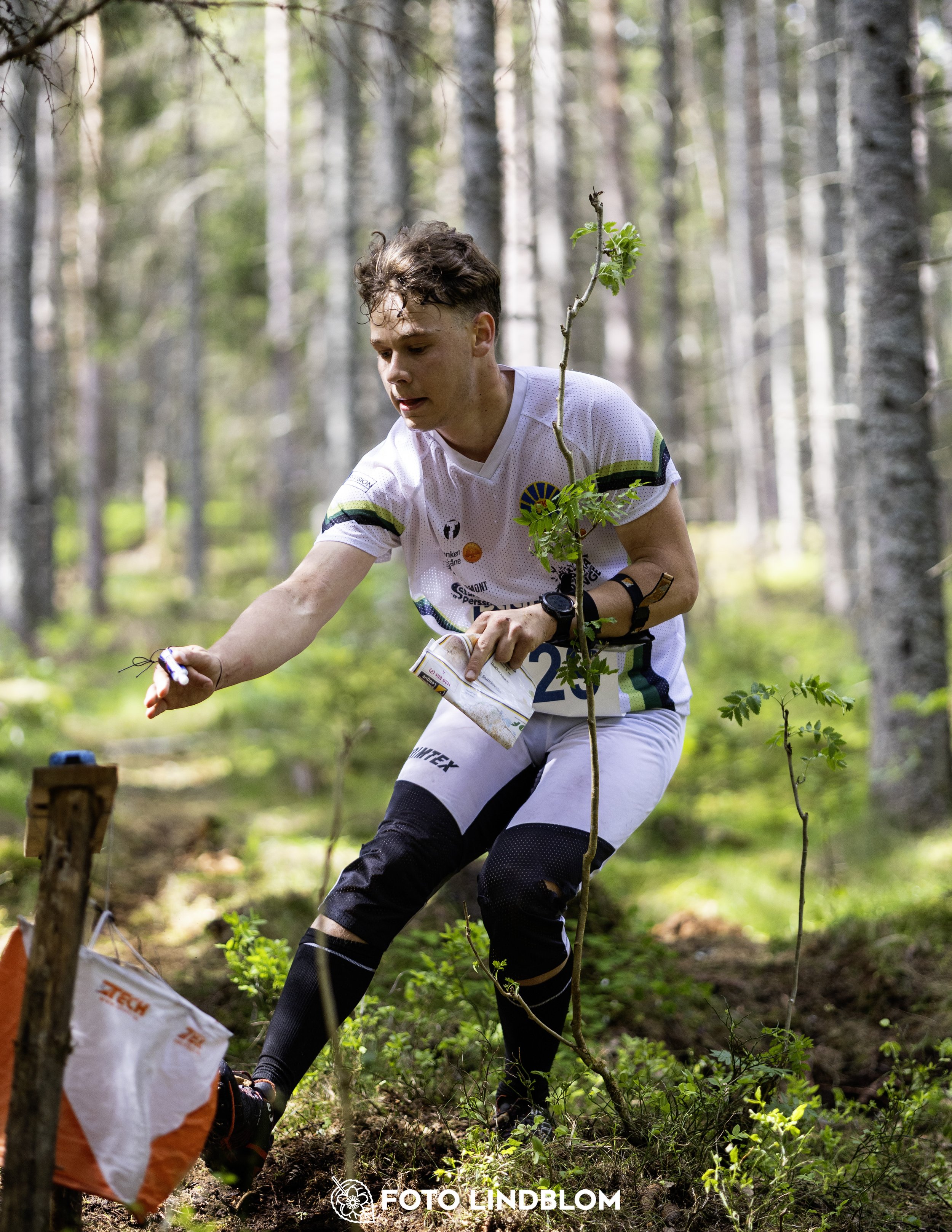 A picture from the seventh stage of the Swedish League orienteering competition
