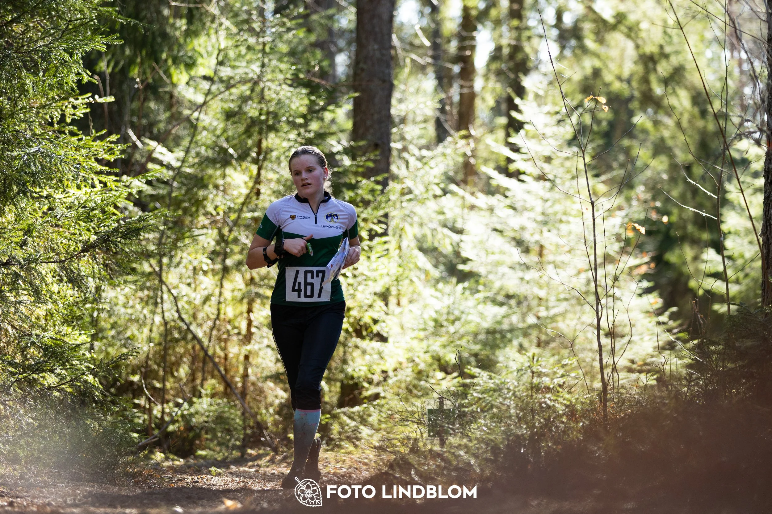 Orienteering in forest terrain at Nyköpingsorienteringen 2026, photographed by Foto Lindblom.