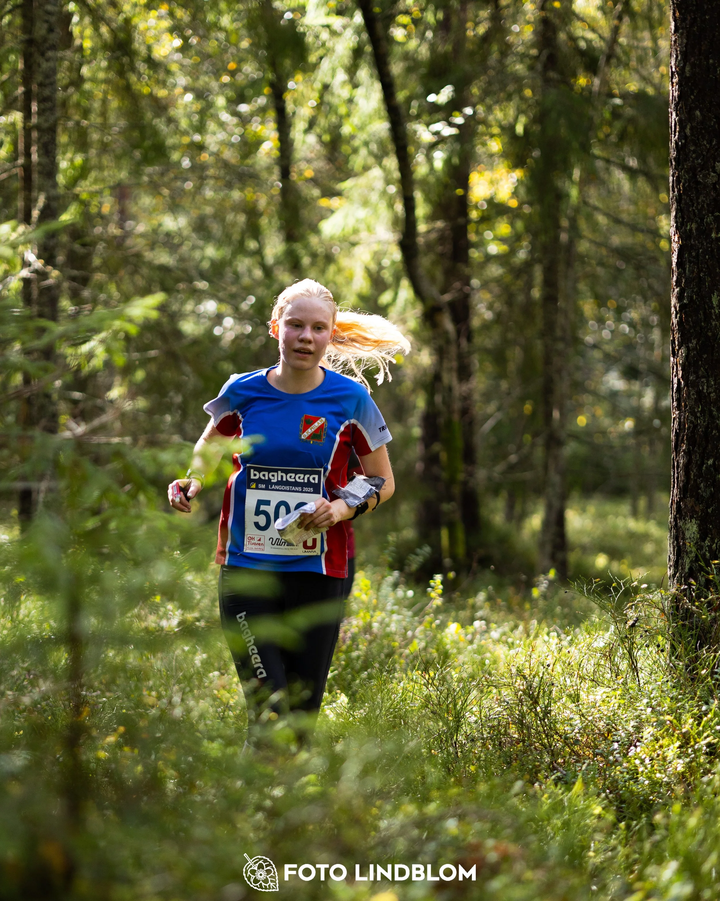 A picture from the Swedish national championship in long distance orienteering and Swedish league race taken by Foto Lindblom