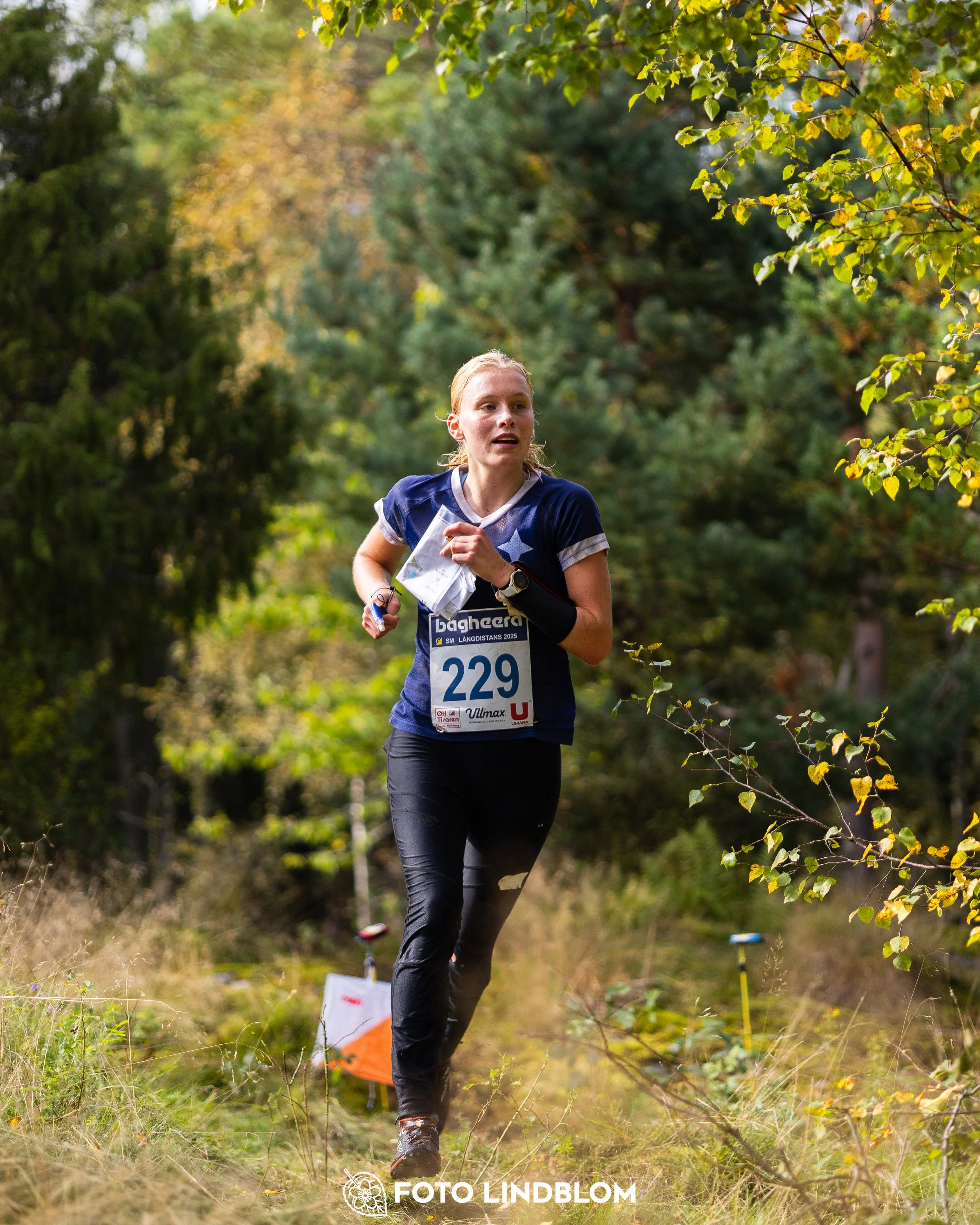 A picture from the Swedish national championship in long distance orienteering and Swedish league race taken by Foto Lindblom