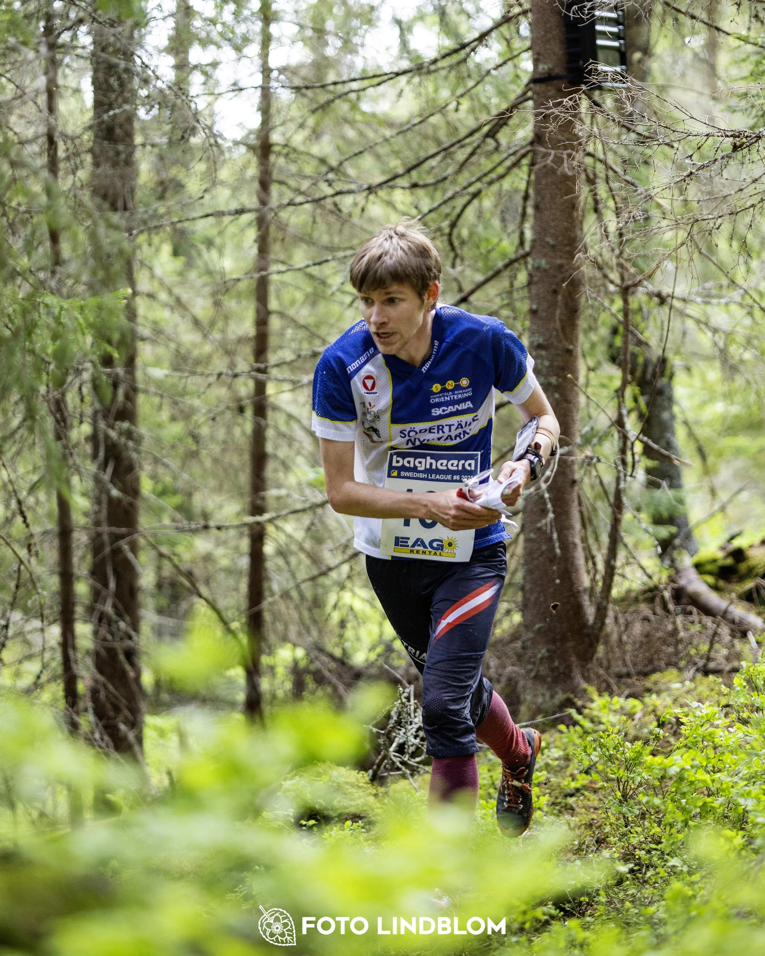 A picture from the seventh stage of the Swedish League orienteering competition