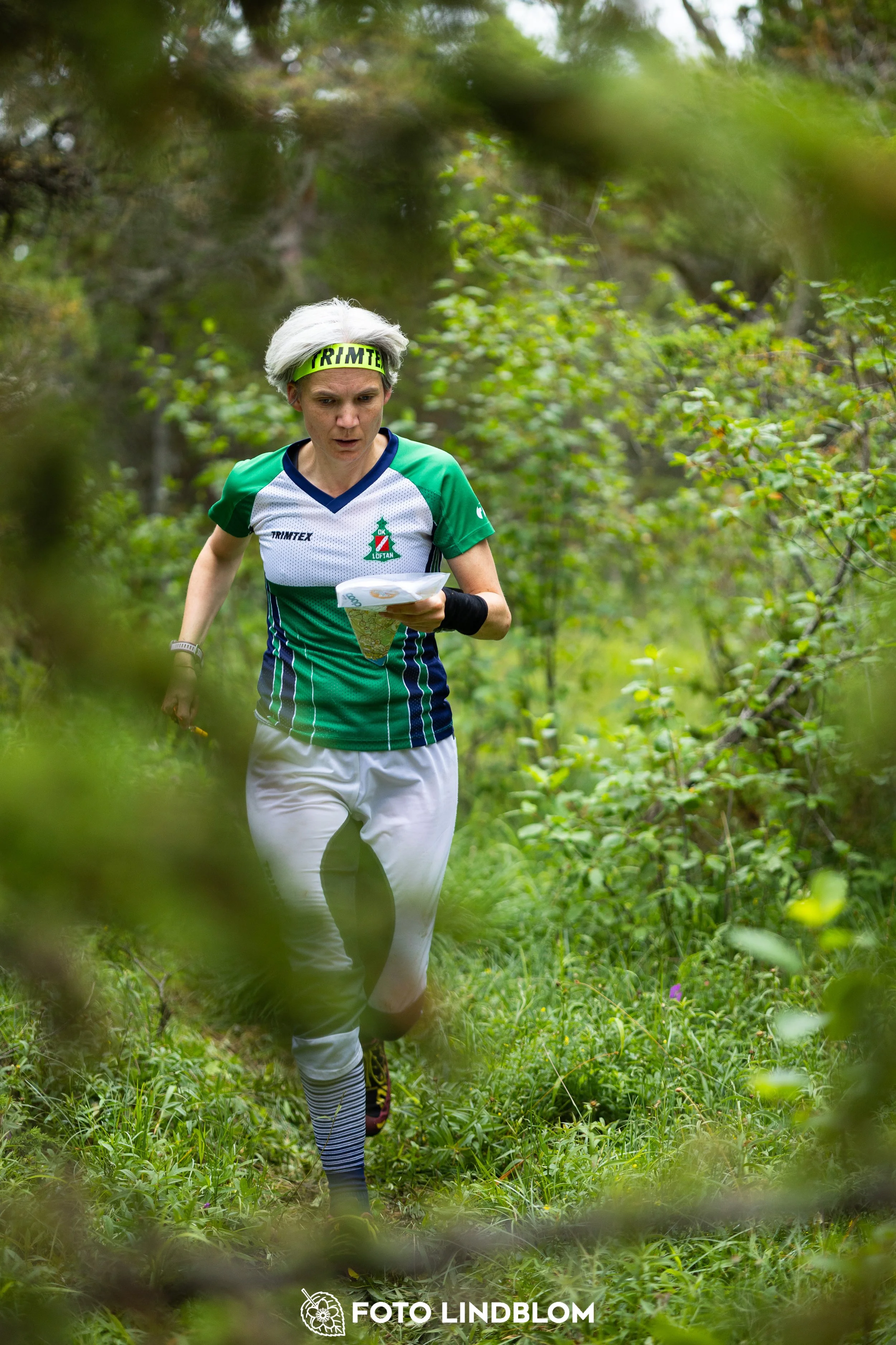A picture from the Gotlands 3-Dagars orienteering competition