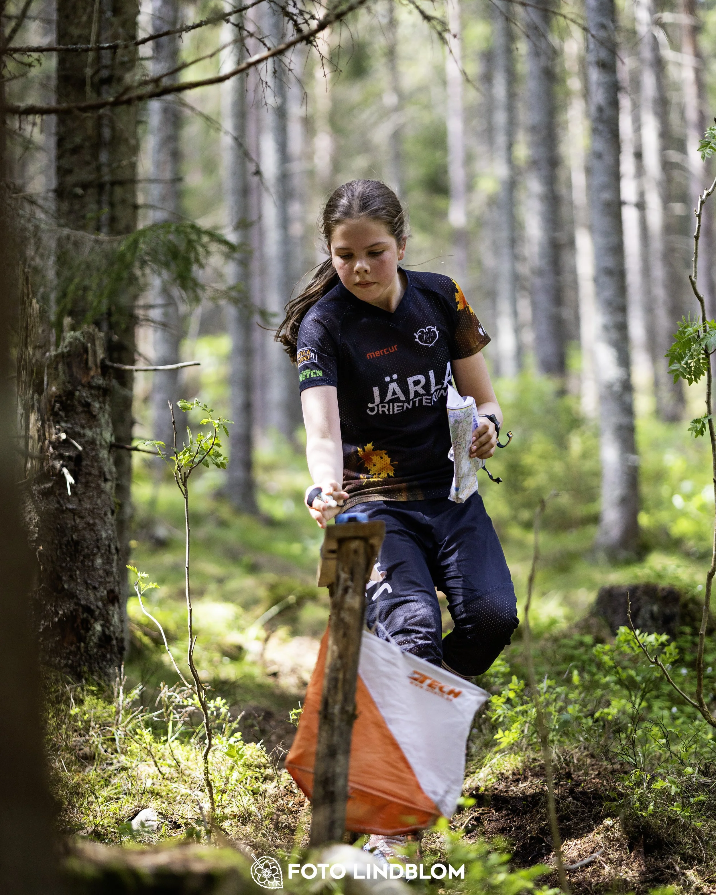 A picture from the seventh stage of the Swedish League orienteering competition