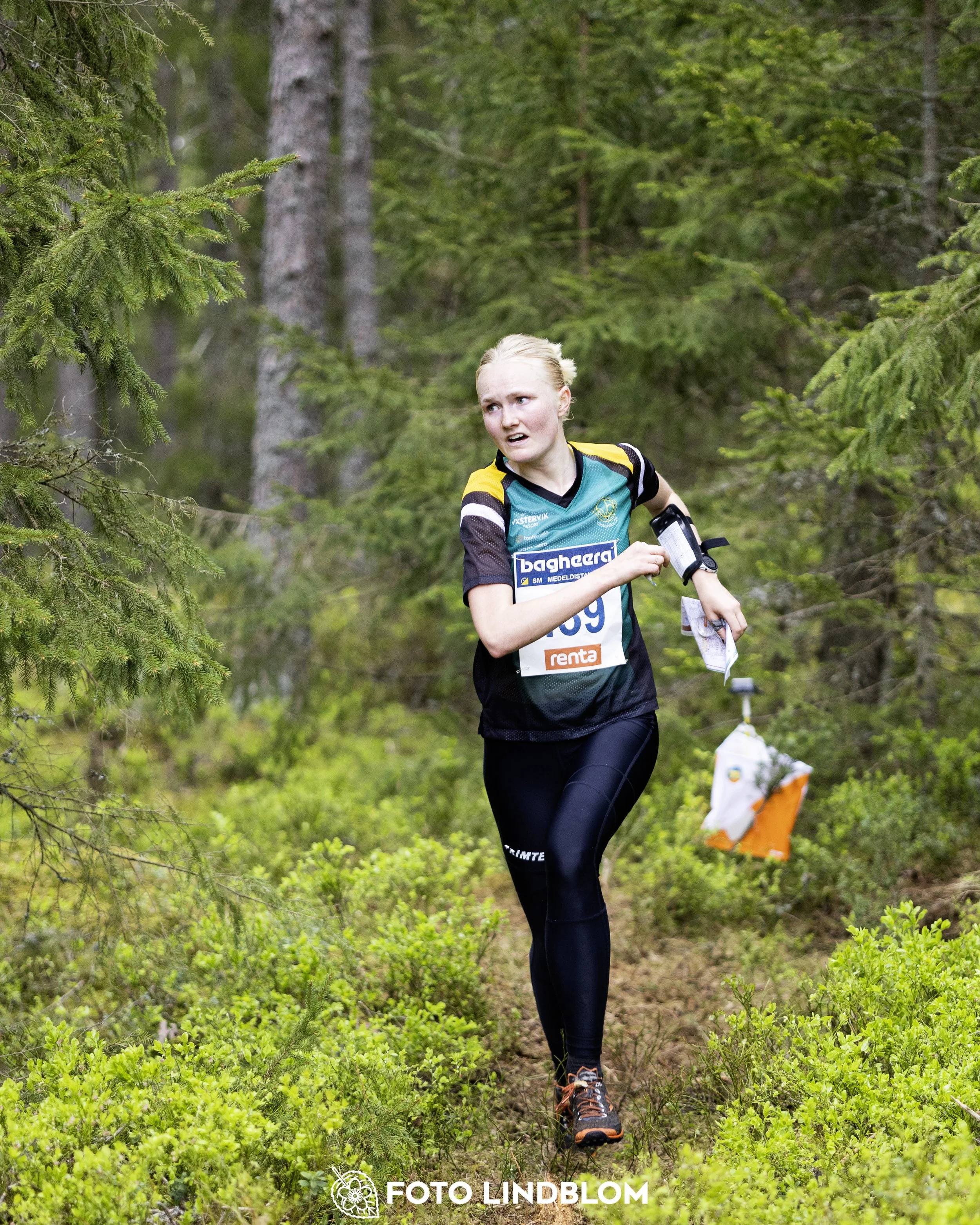 A picture from the Swedish national championship in middle distance orienteering and Swedish league race