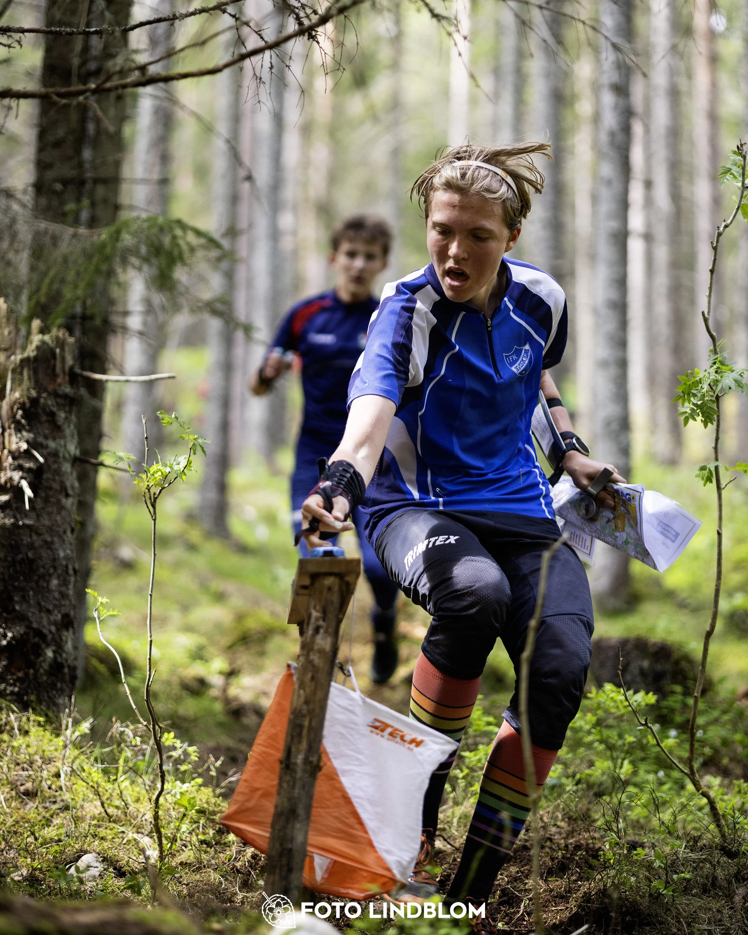 A picture from the seventh stage of the Swedish League orienteering competition