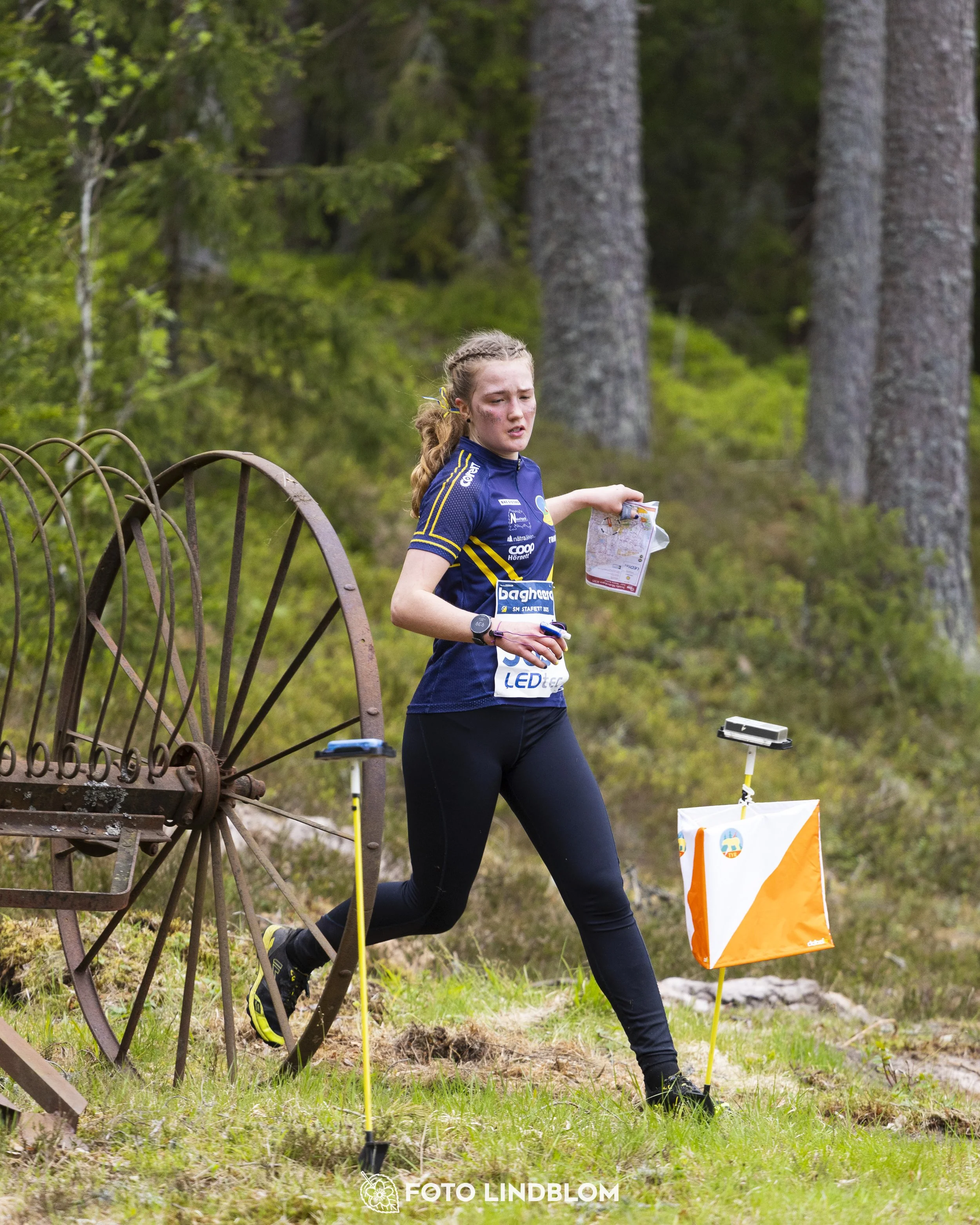 A picture from the Swedish national championship in relay orienteering