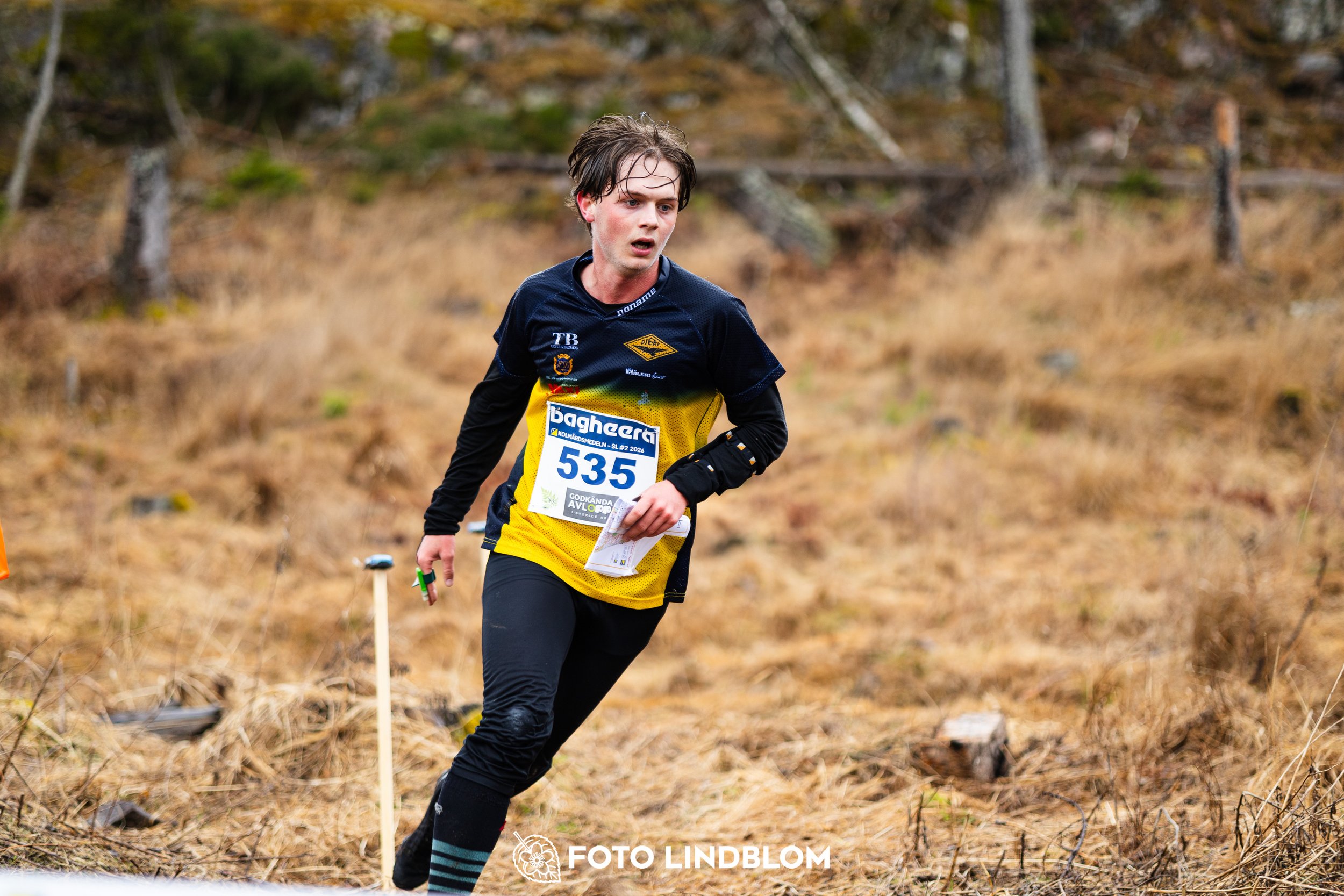 A moment from a middle distance orienteering race in Kolmården during the Swedish League 2026, captured by Foto Lindblom.