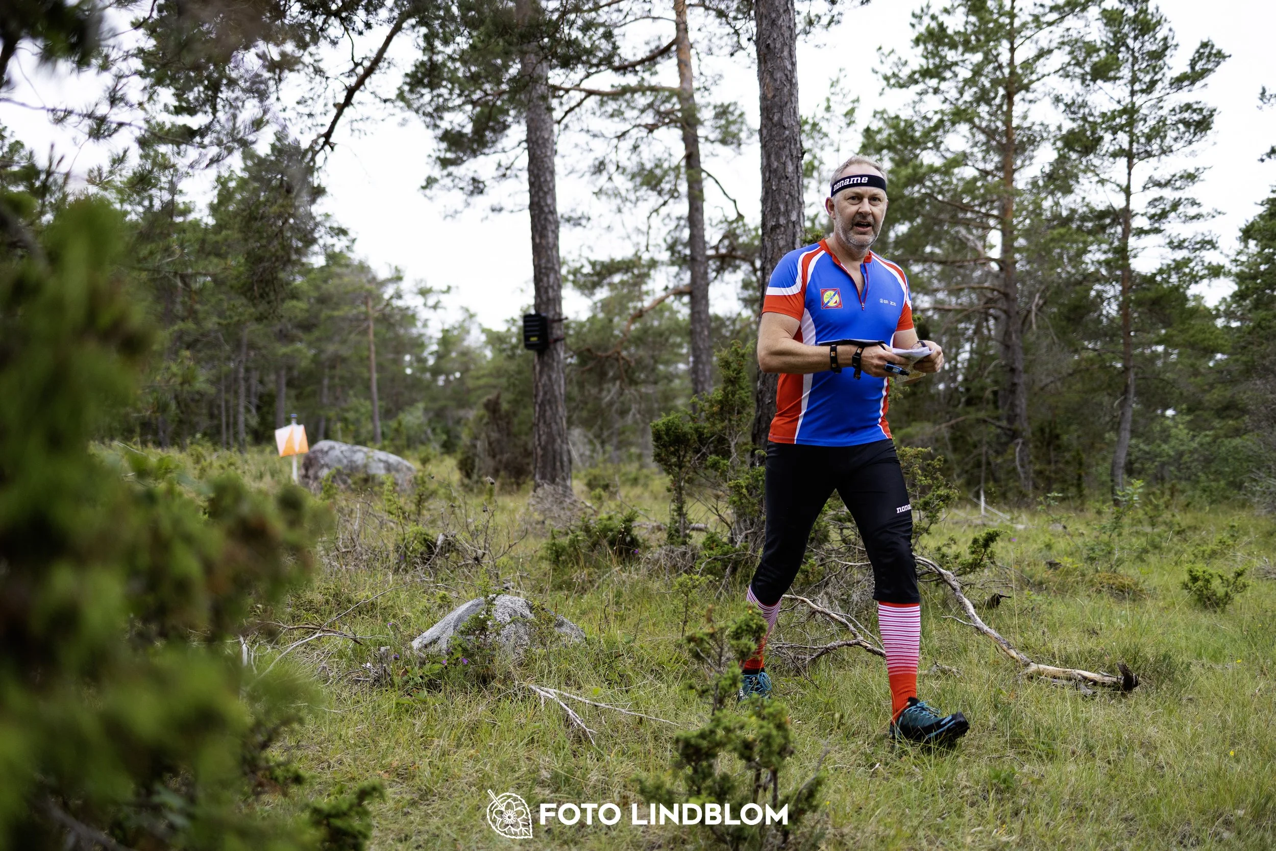 A picture from the Gotlands 2-Dagars orienteering competition