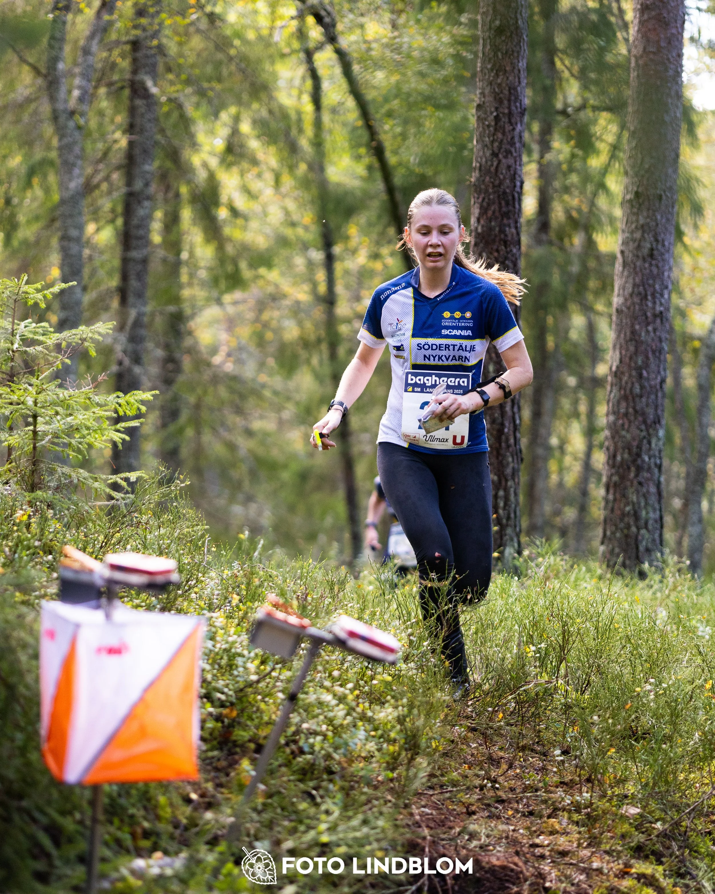 A picture from the Swedish national championship in long distance orienteering and Swedish league race taken by Foto Lindblom