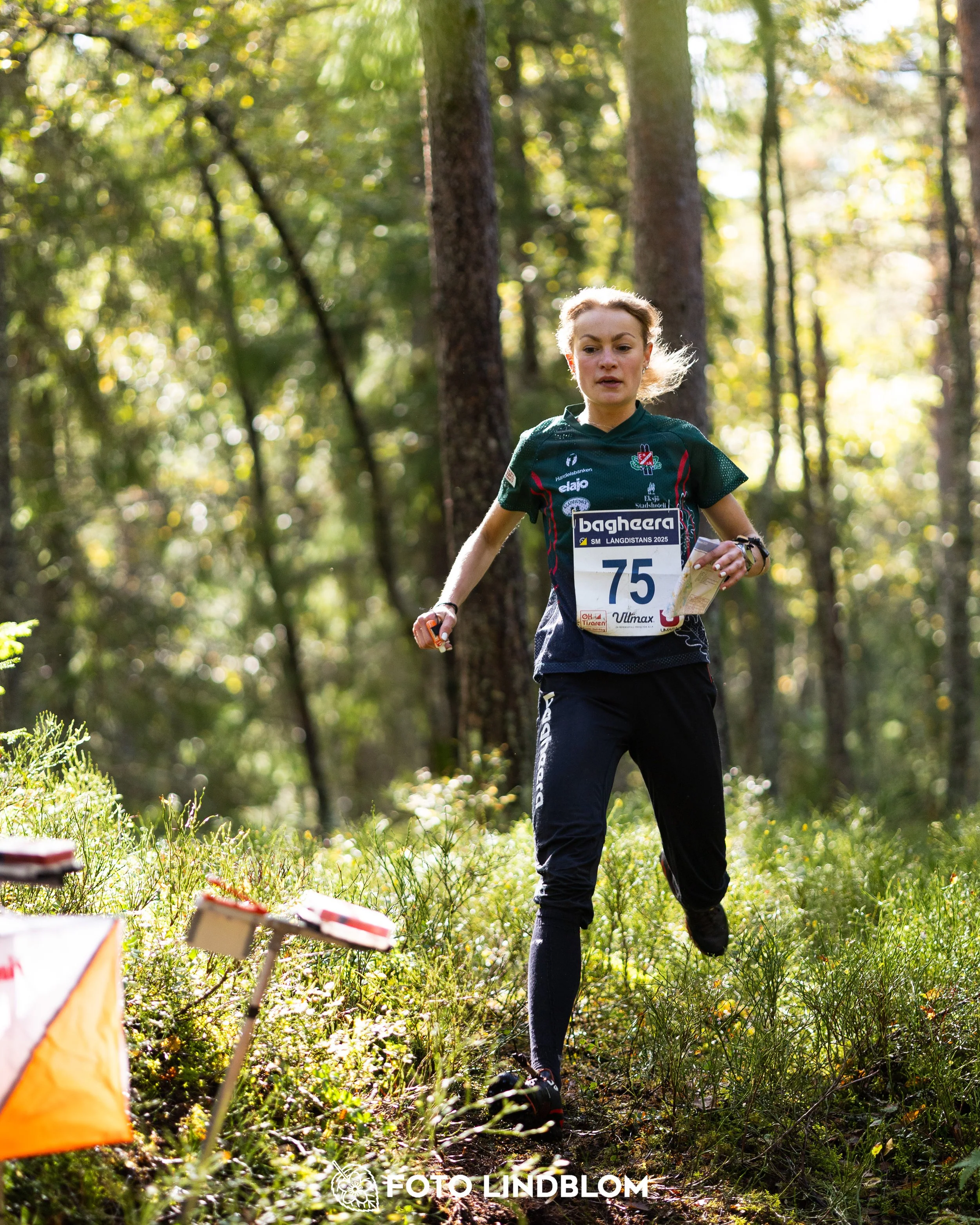 A picture from the Swedish national championship in long distance orienteering and Swedish league race taken by Foto Lindblom
