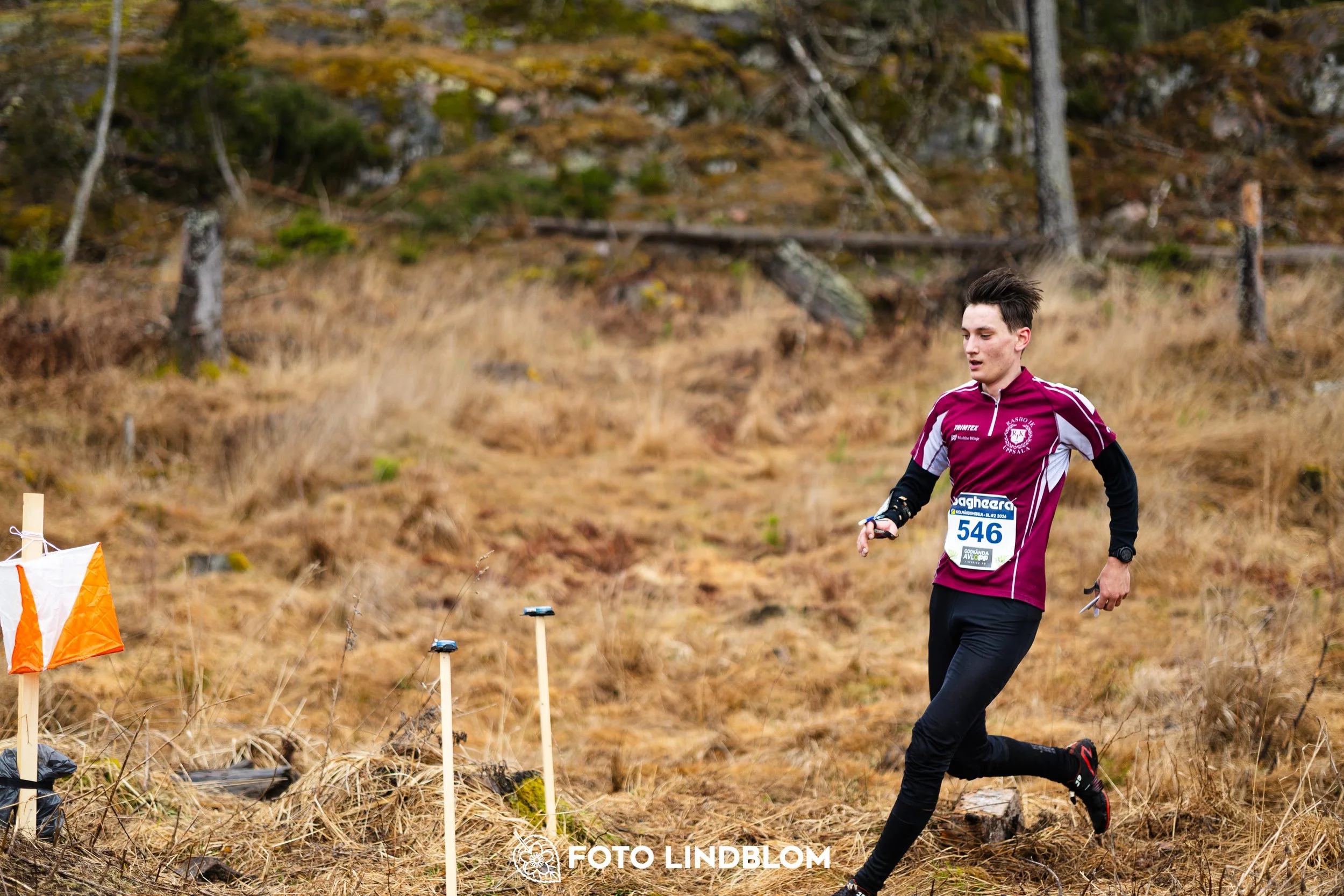 A photo from the Swedish League orienteering competition in Kolmården spring 2026, captured by Foto Lindblom.