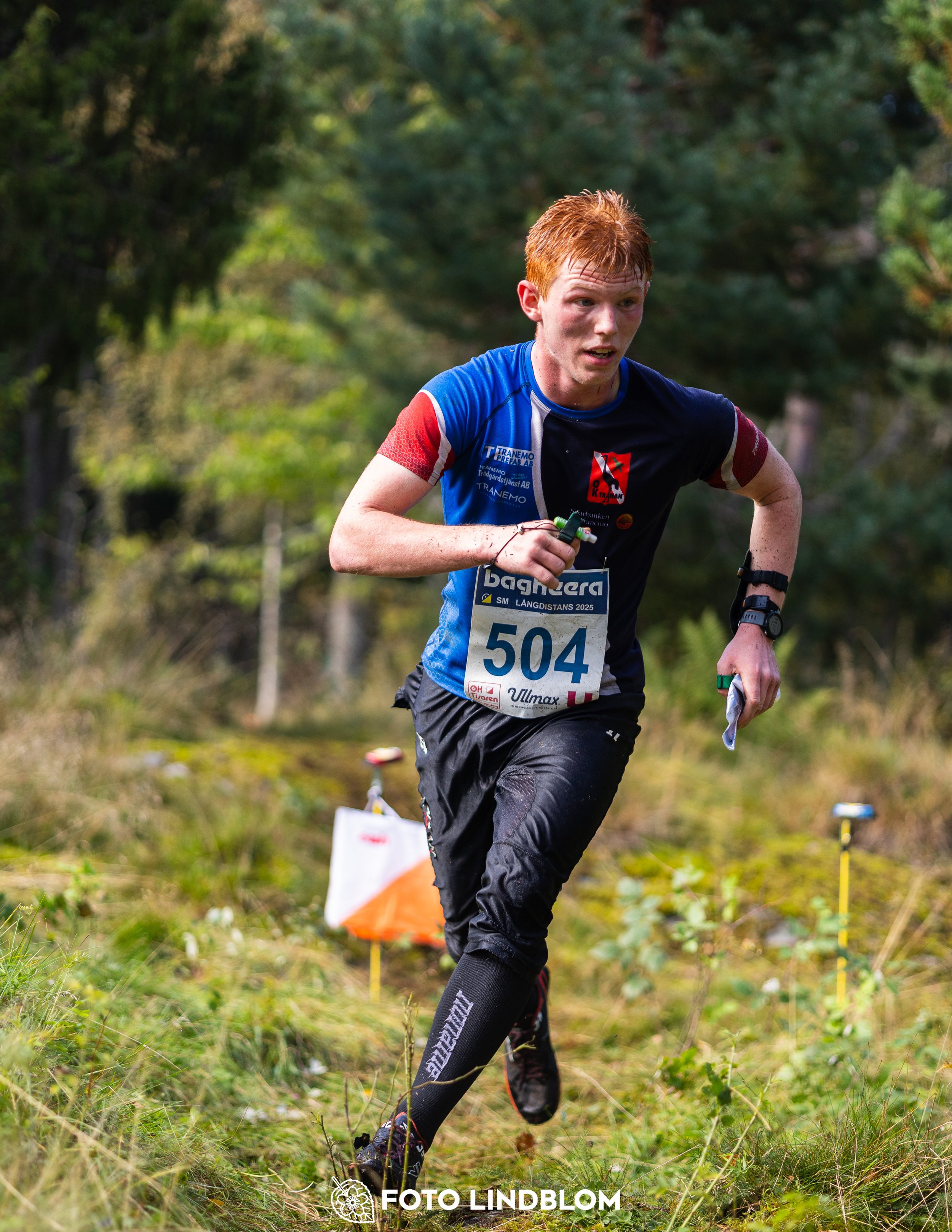 A picture from the Swedish national championship in long distance orienteering and Swedish league race taken by Foto Lindblom